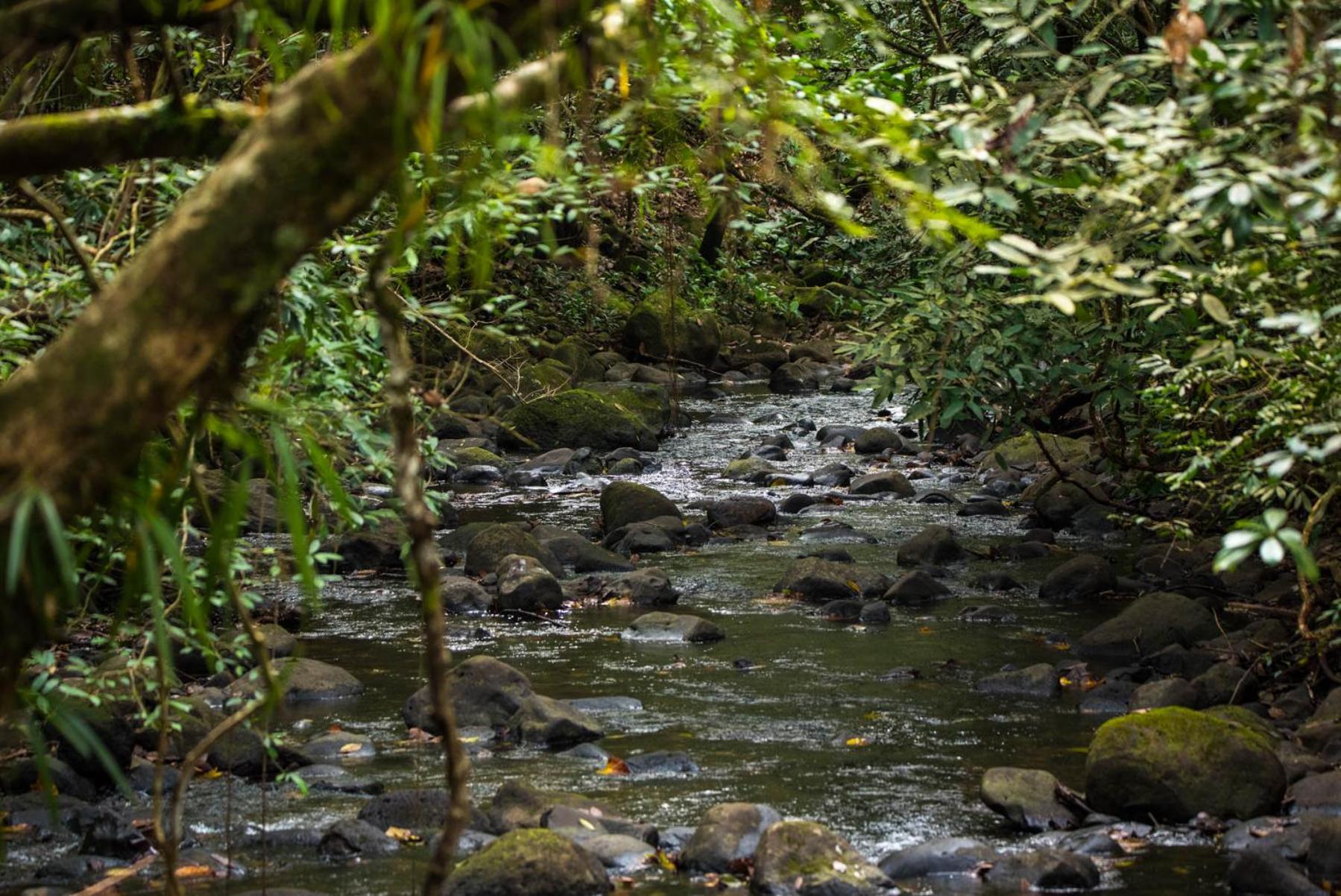 Wanakaset Panama