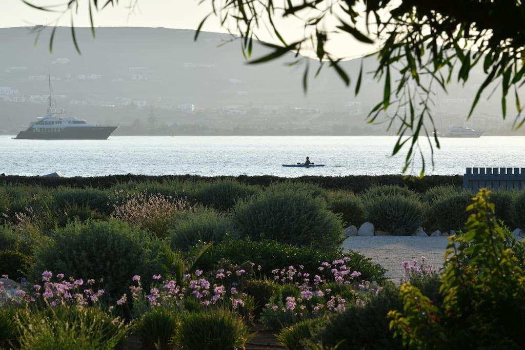 SUNRAY Paros Beach front 2 bedroom house next to kite sports photo 3