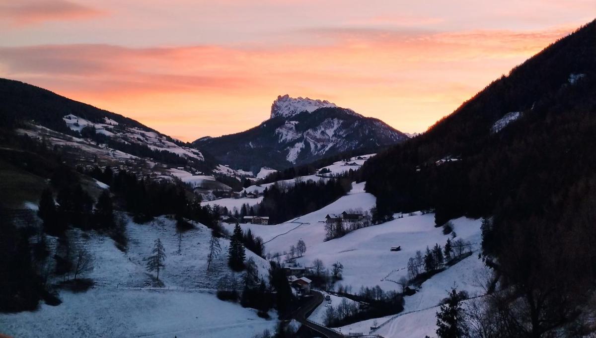 Planerhof Apartment Alpenrose