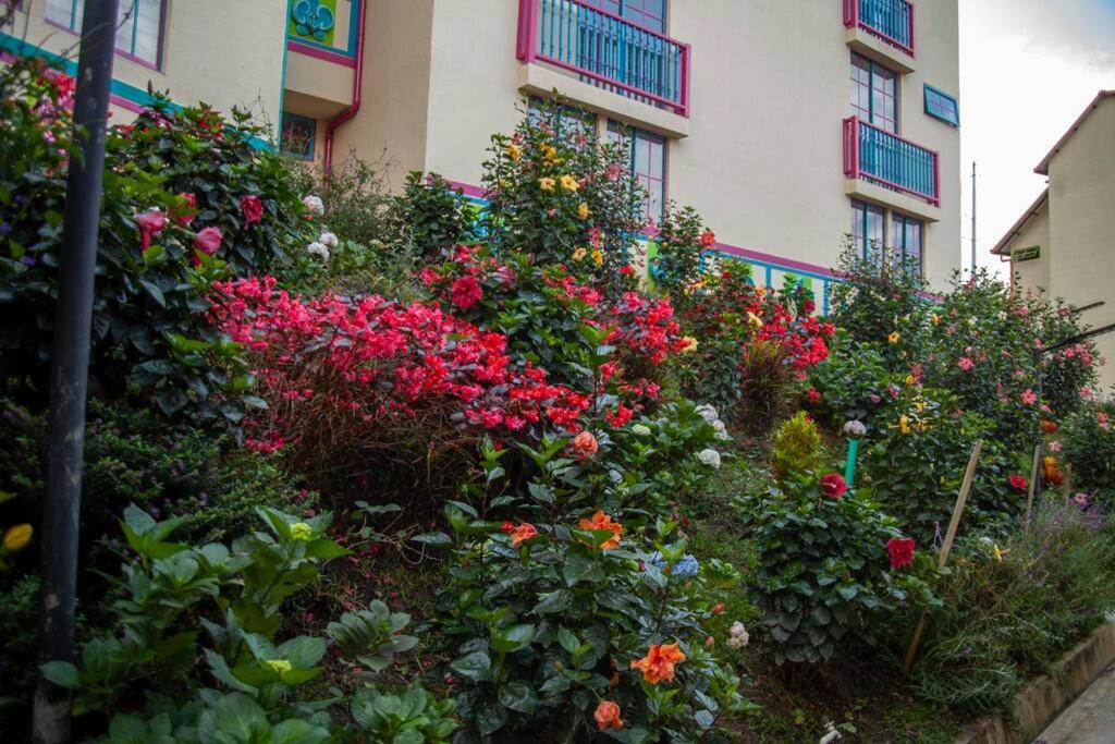 Duplex Familiar Apartment Nature