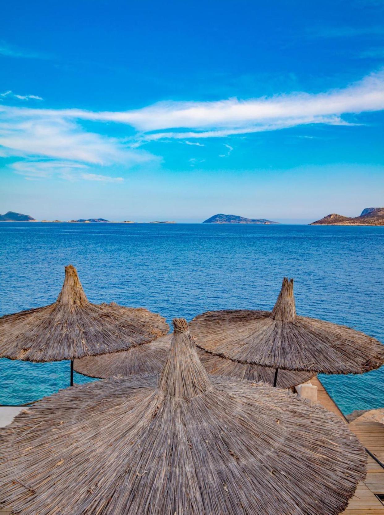 Villa Hotel Tamara - Image 57