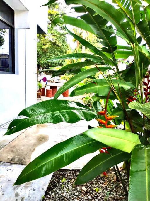 SUPER COMFY HOME @ KULIM CITY photo 6