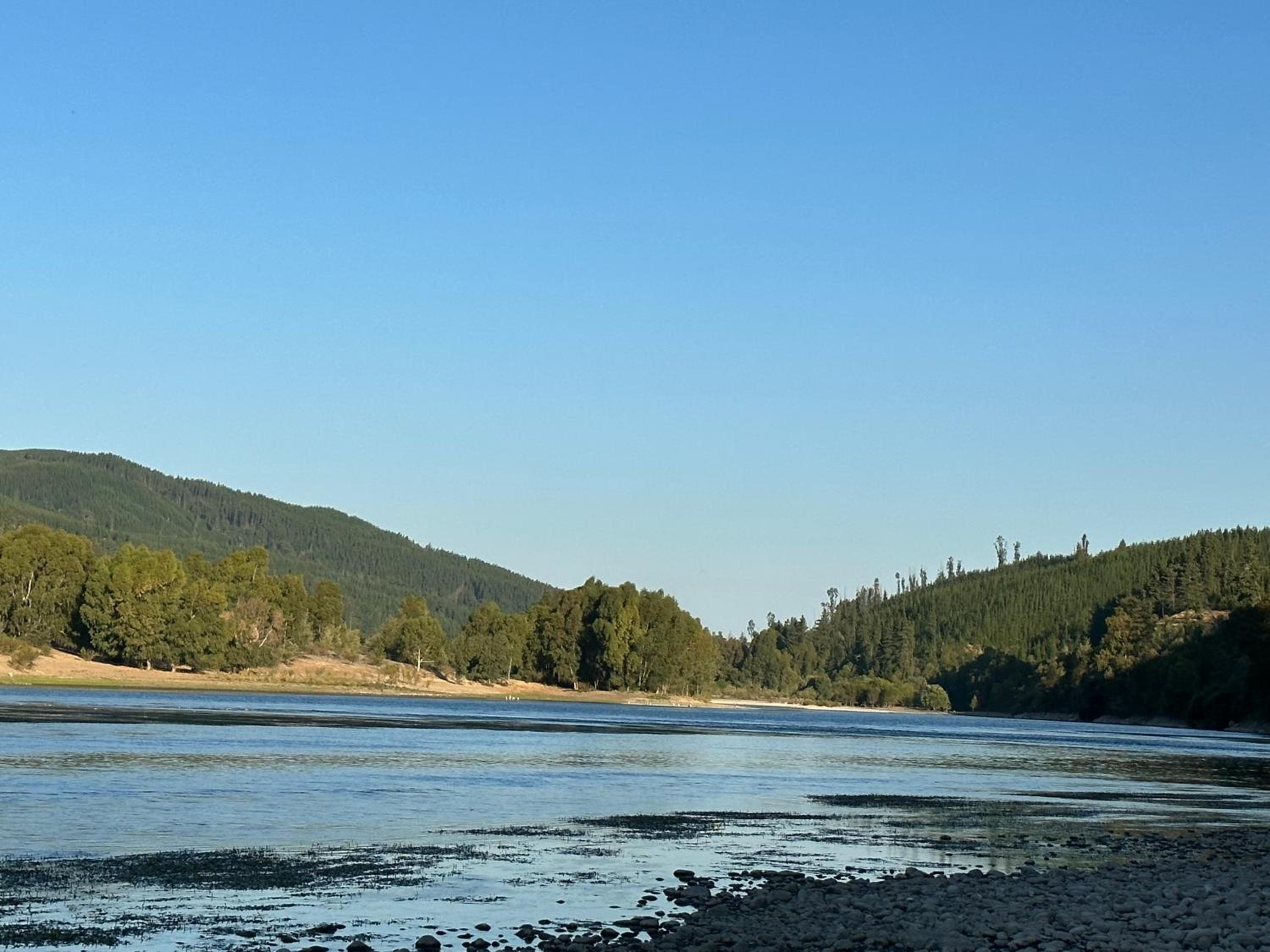 CABAÑA RIO MAULE Forel