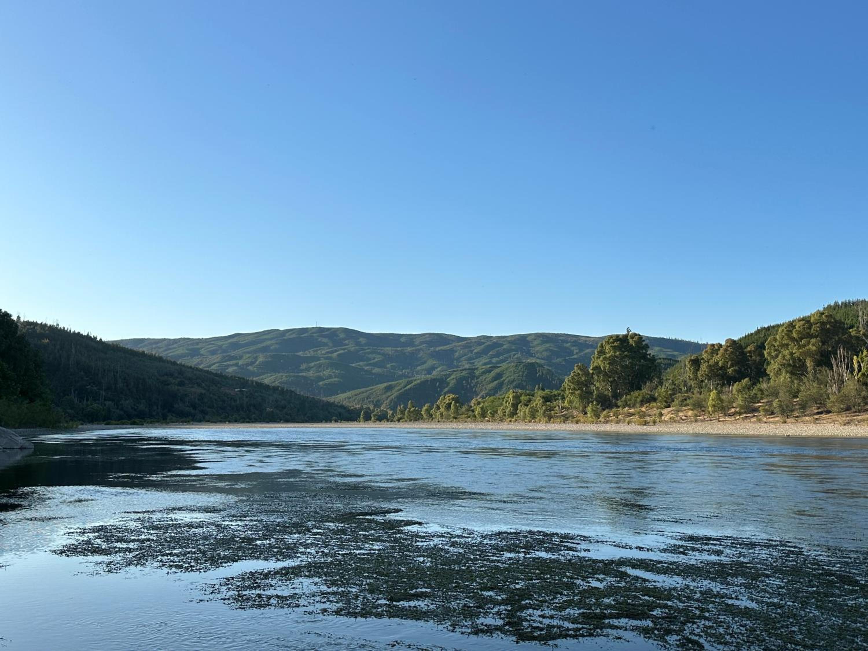 CABAÑA RIO MAULE Forel