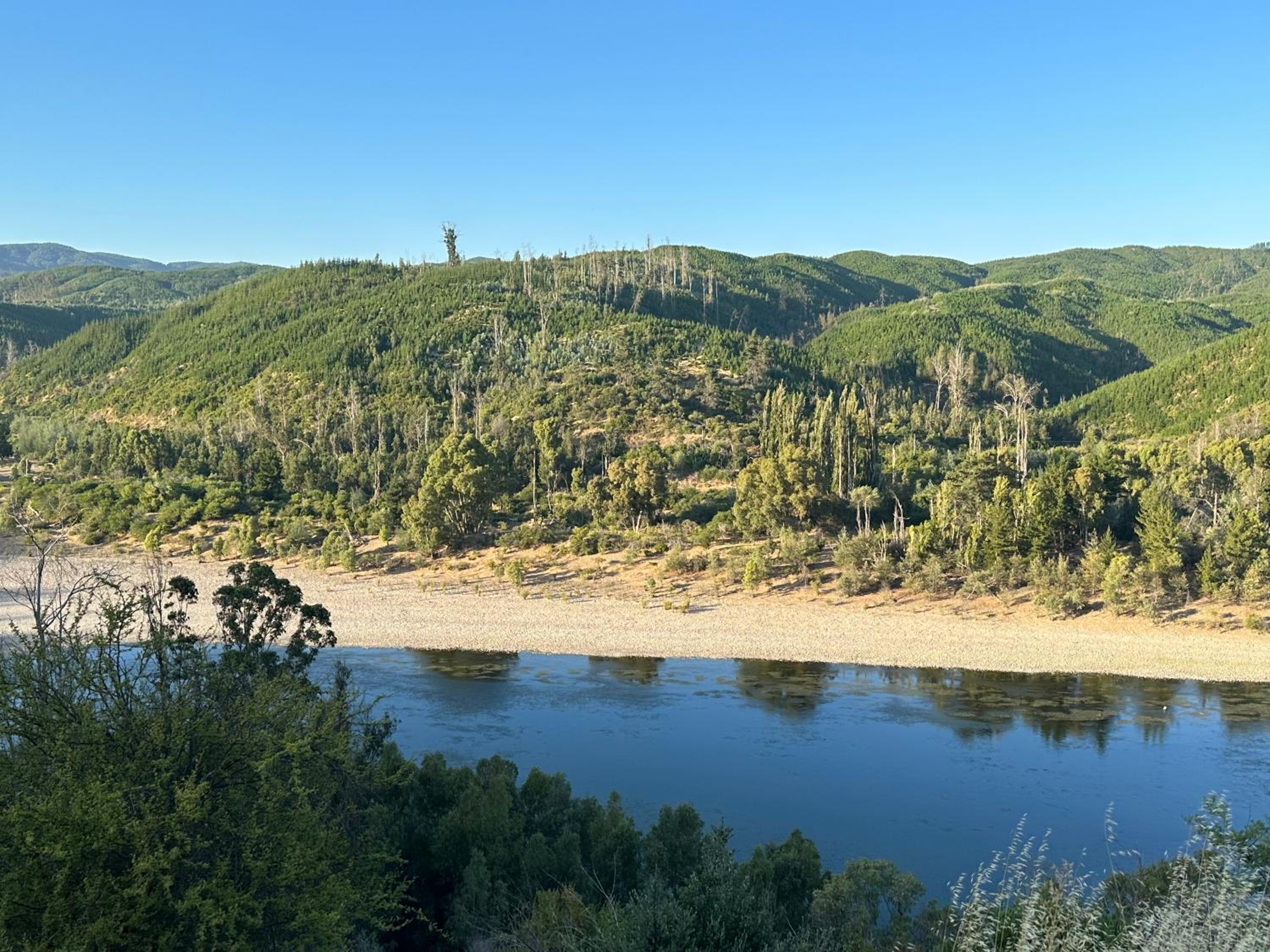 CABAÑA RIO MAULE Forel