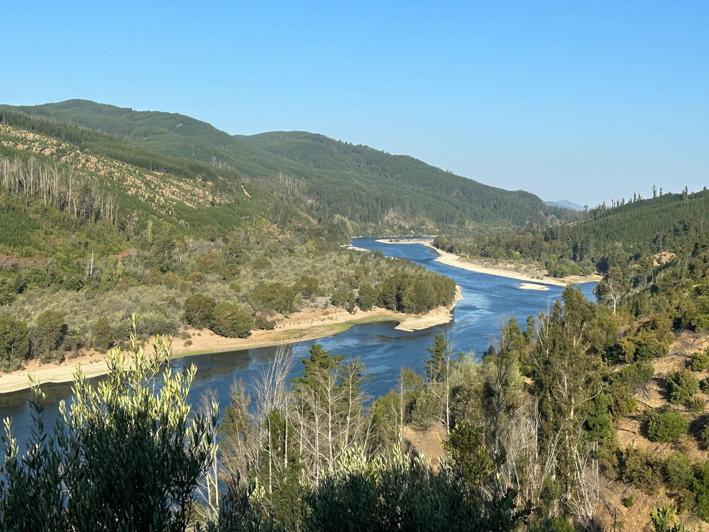 CABAÑA RIO MAULE Forel