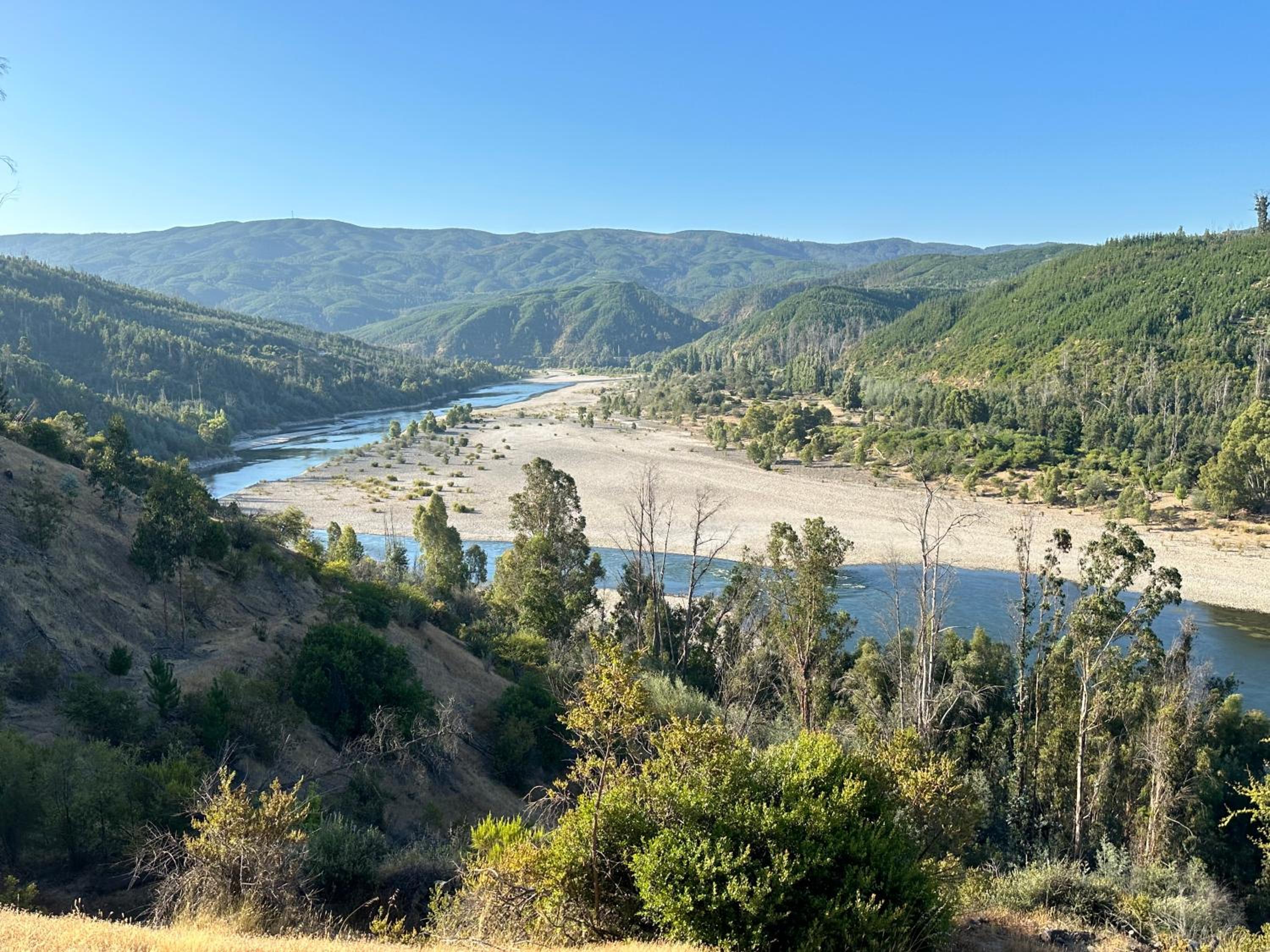 CABAÑA RIO MAULE Forel