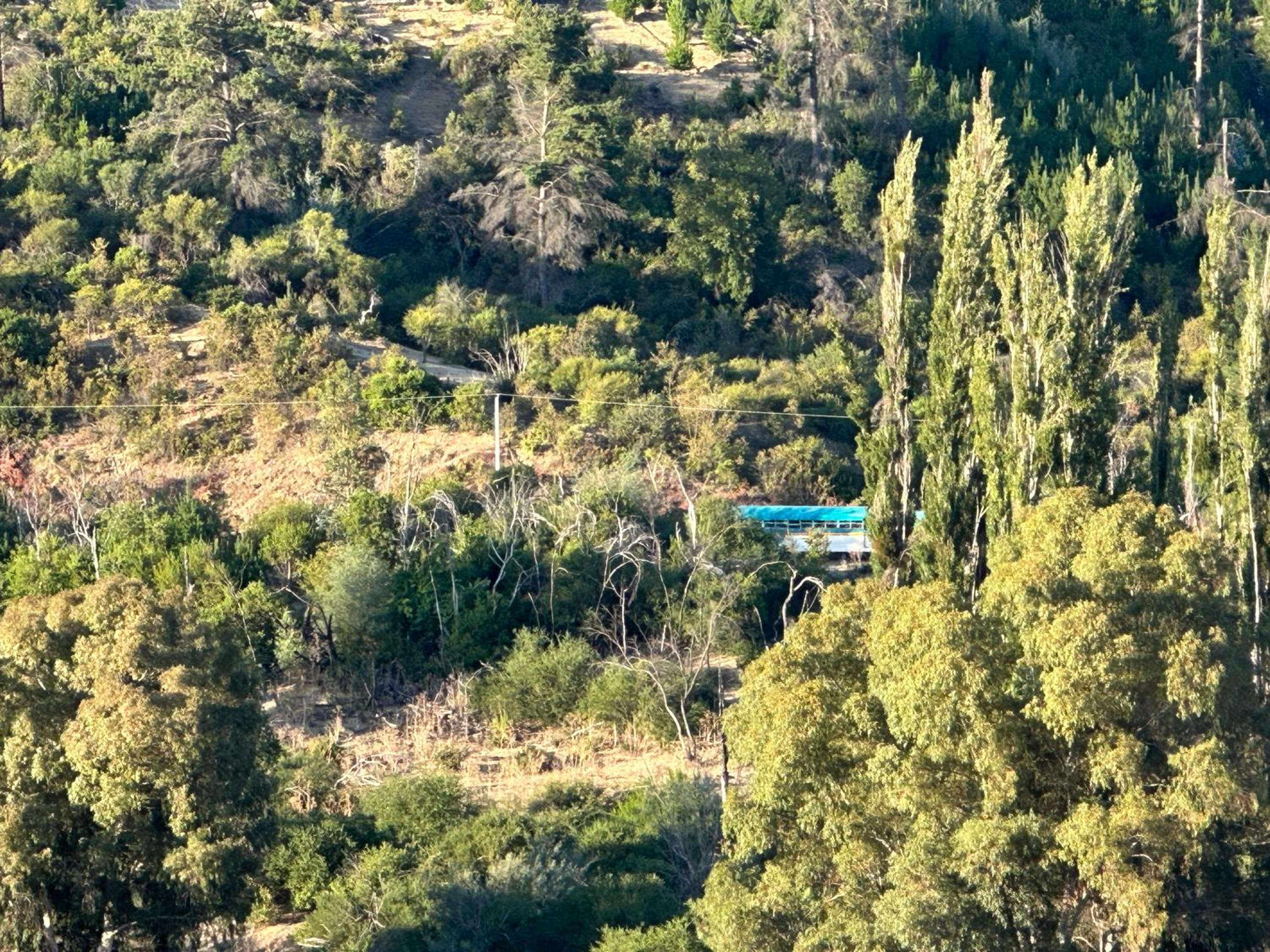 CABAÑA RIO MAULE Forel