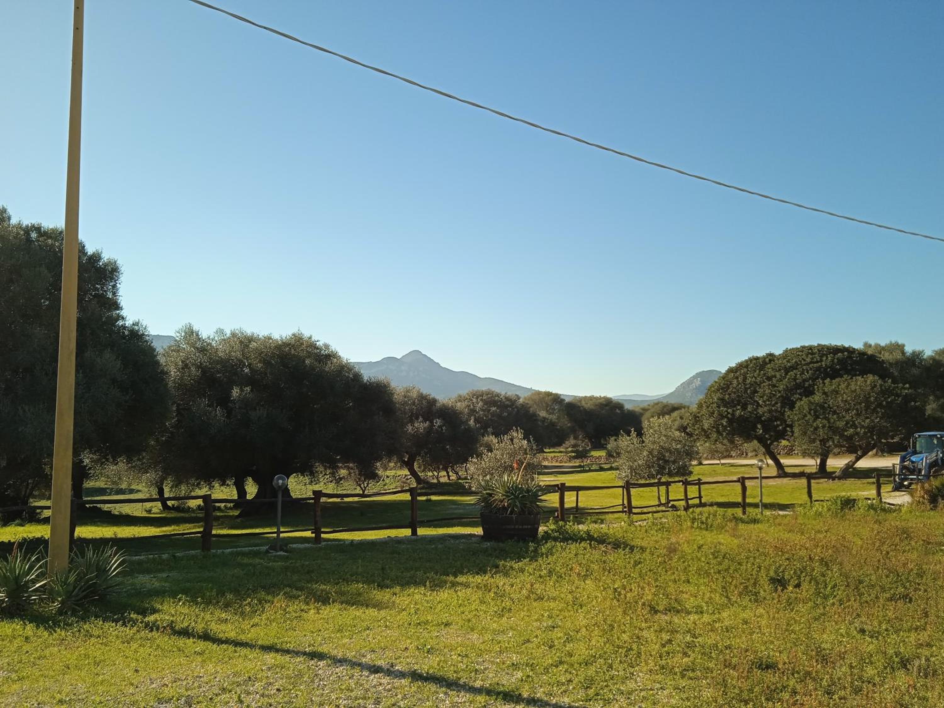 Photo 43