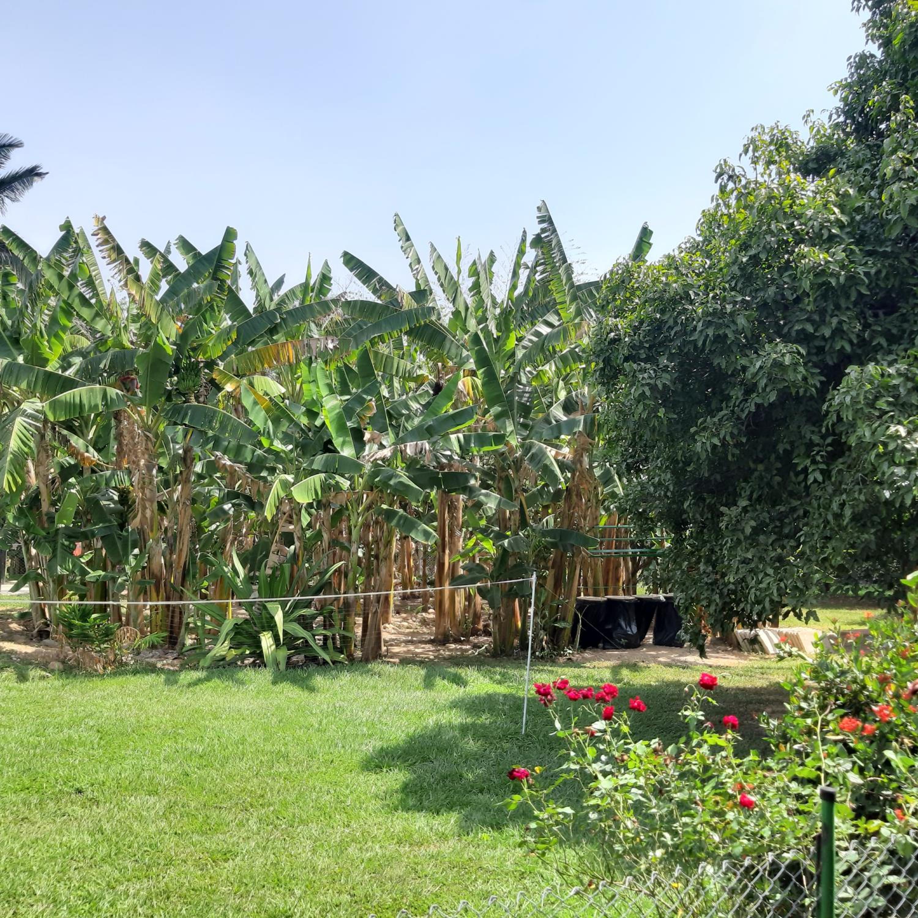 Finca La Perla Yopal