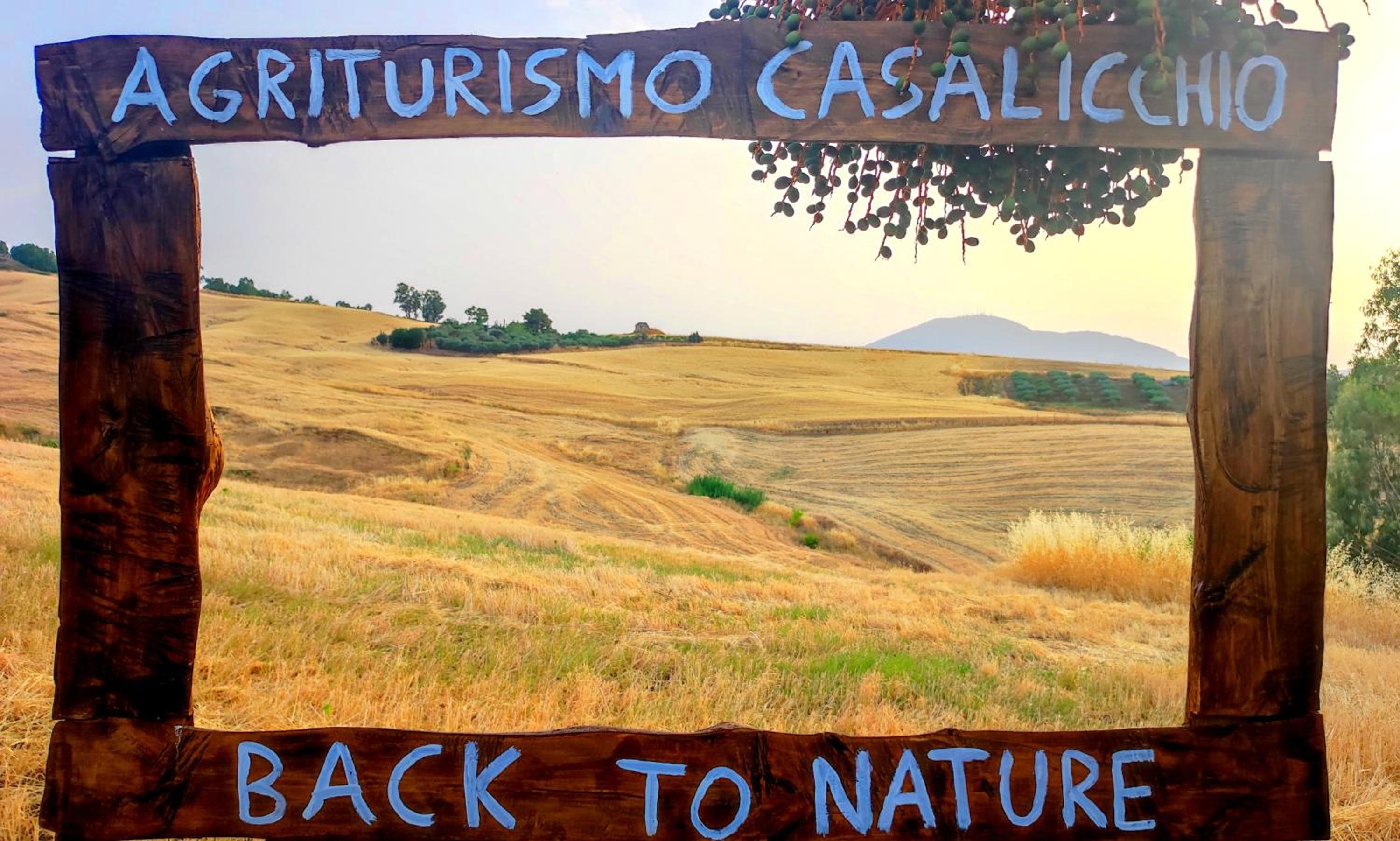 Agriturismo Casalicchio