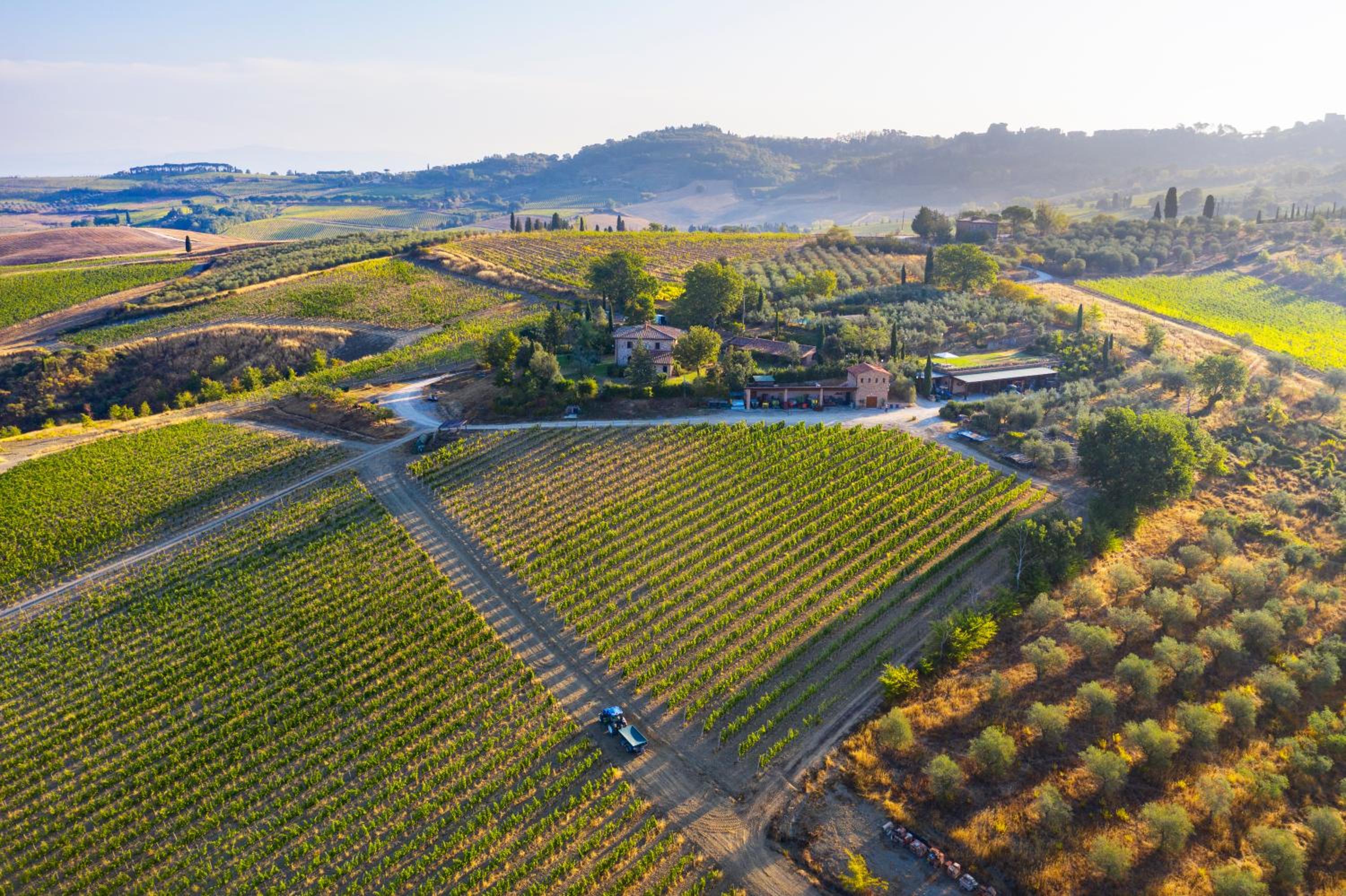 Agriturismo San Gallo view 3