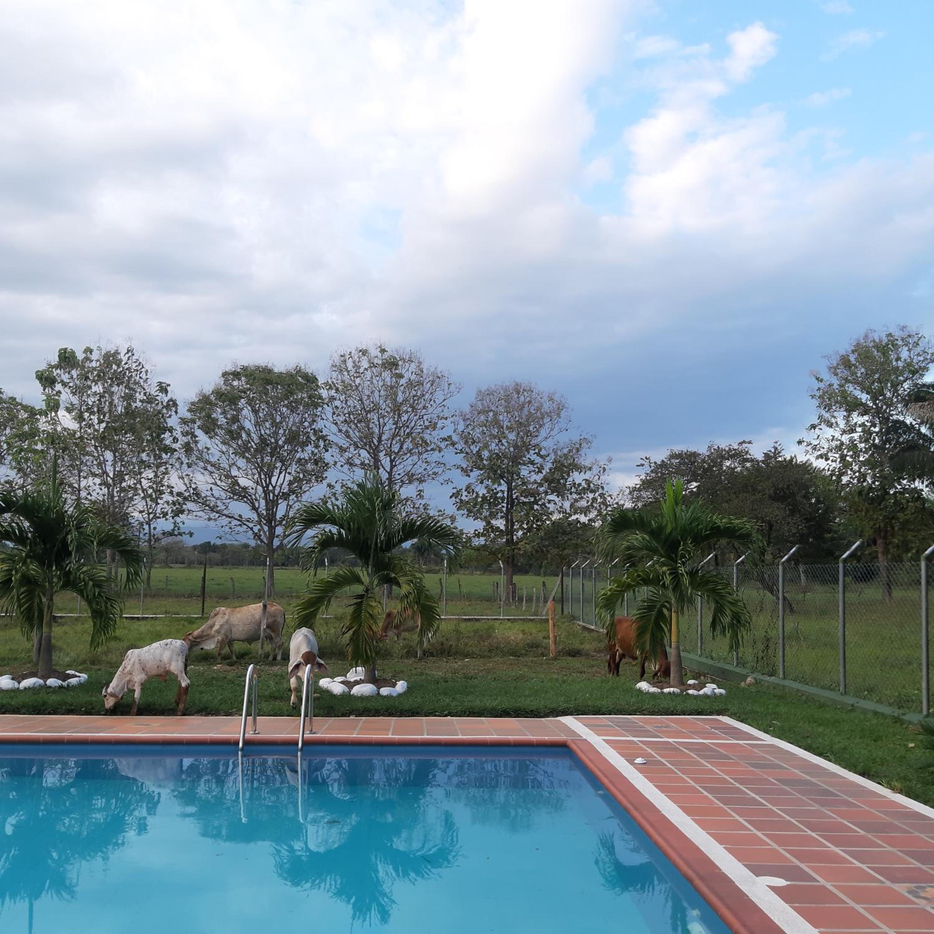 Finca La Perla Yopal