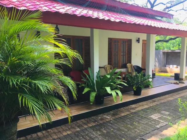 Yala Odyssey view 3
