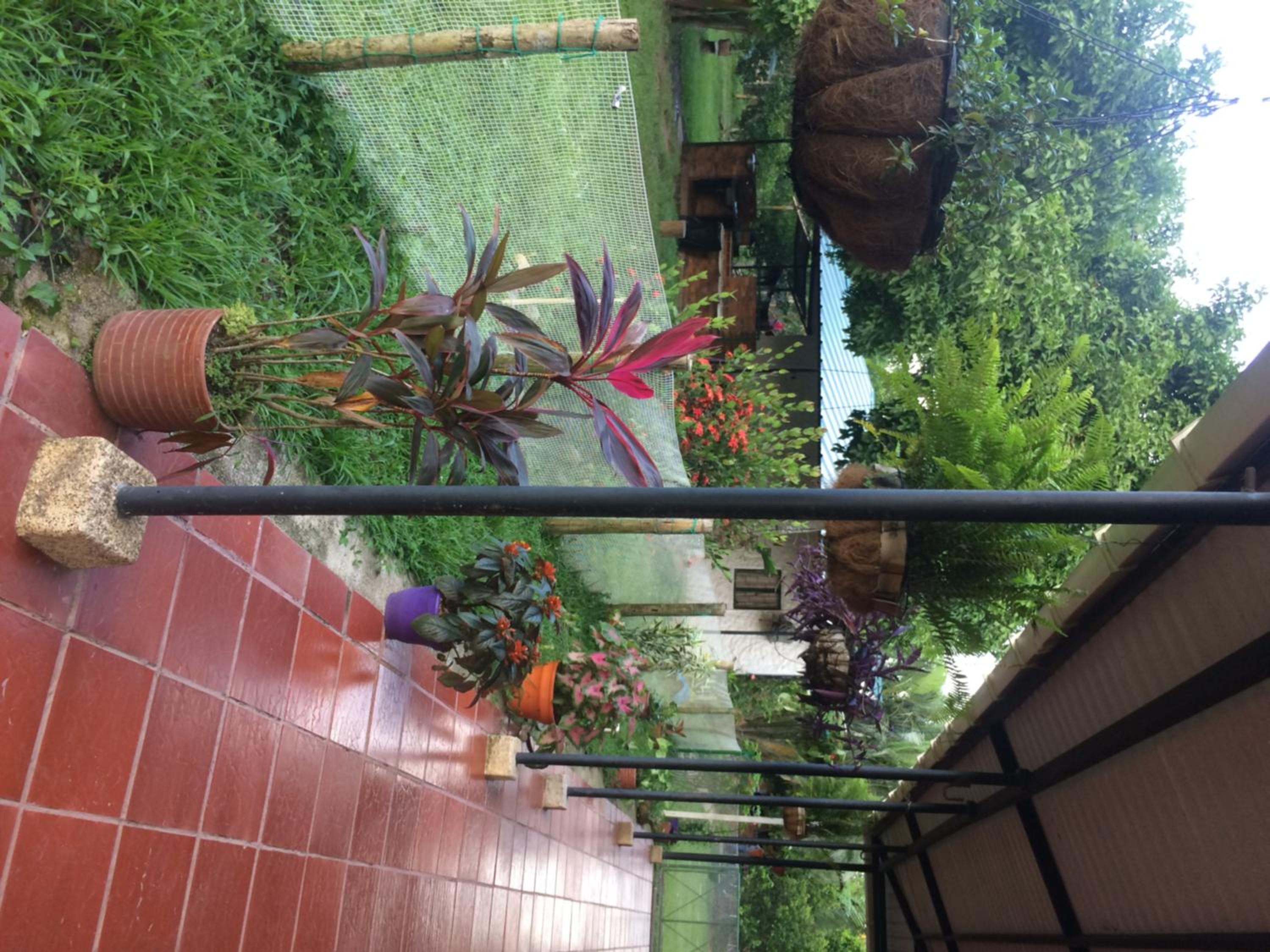 Finca La Perla Yopal