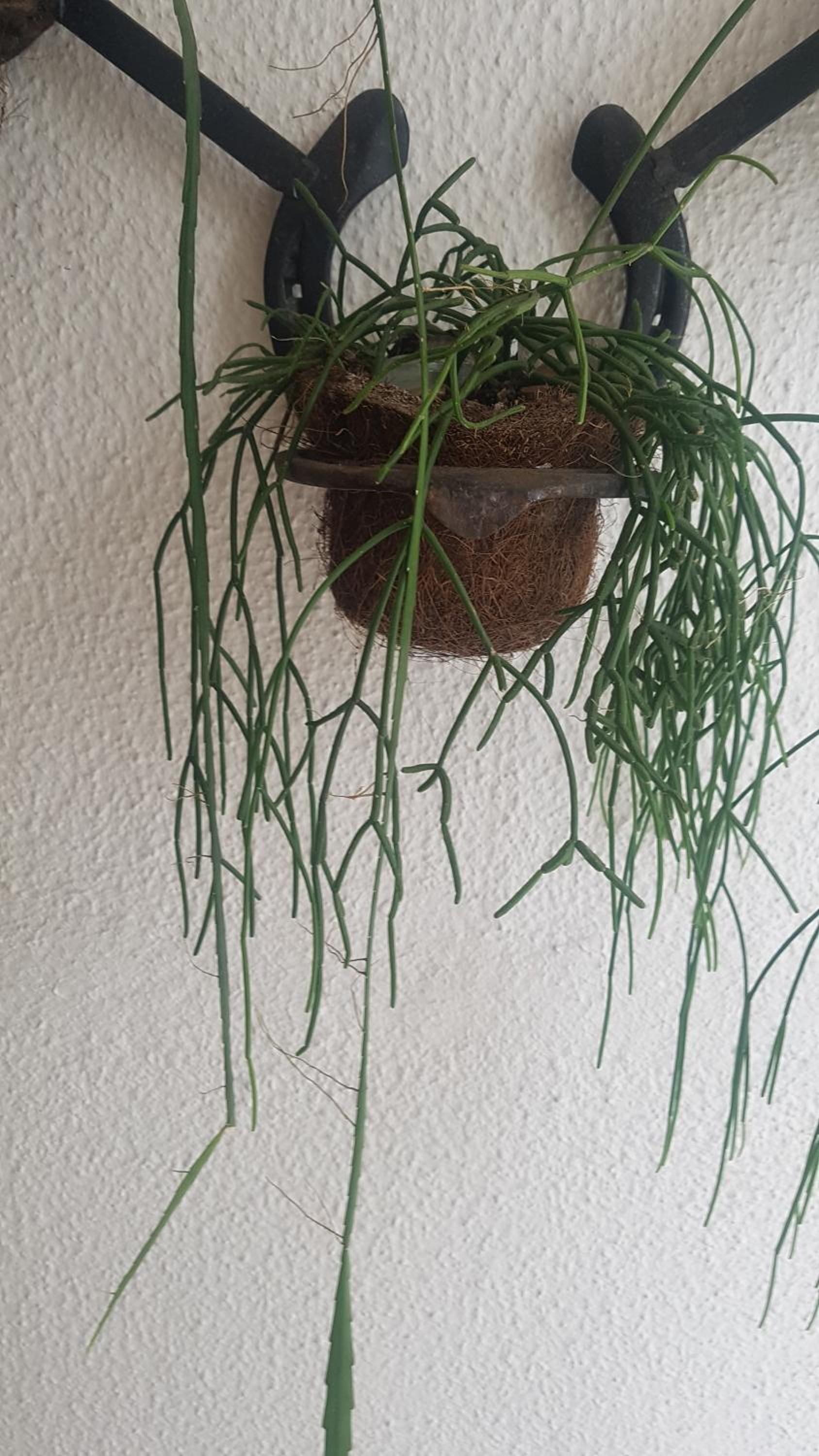 Apartamento Aconchegante e Confortável com ou sem Ar Condicionado