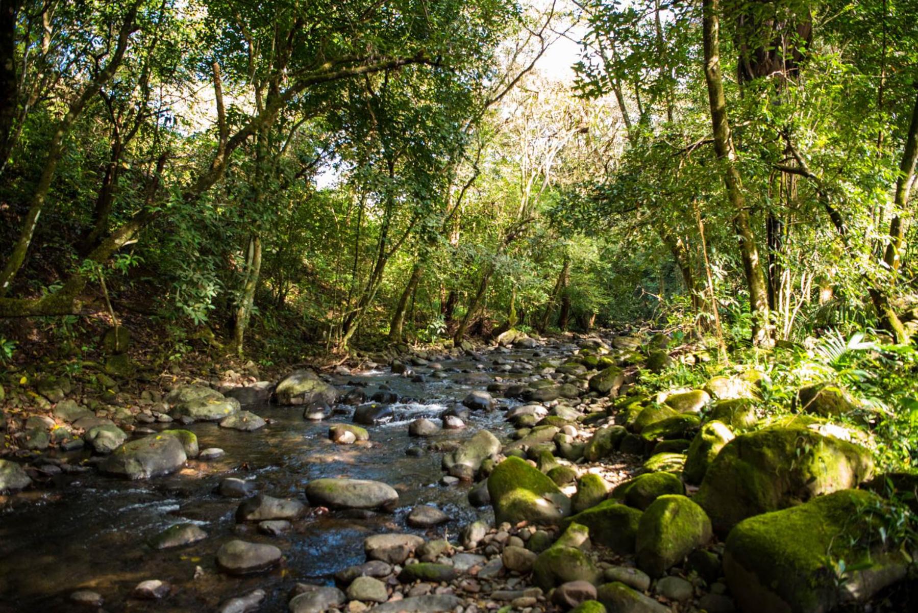 Wanakaset Panama