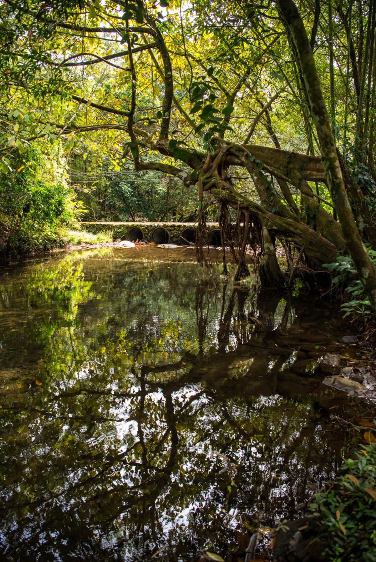 Wanakaset Panama
