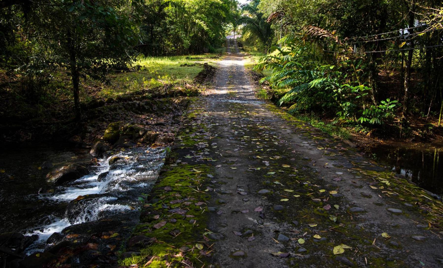 Wanakaset Panama