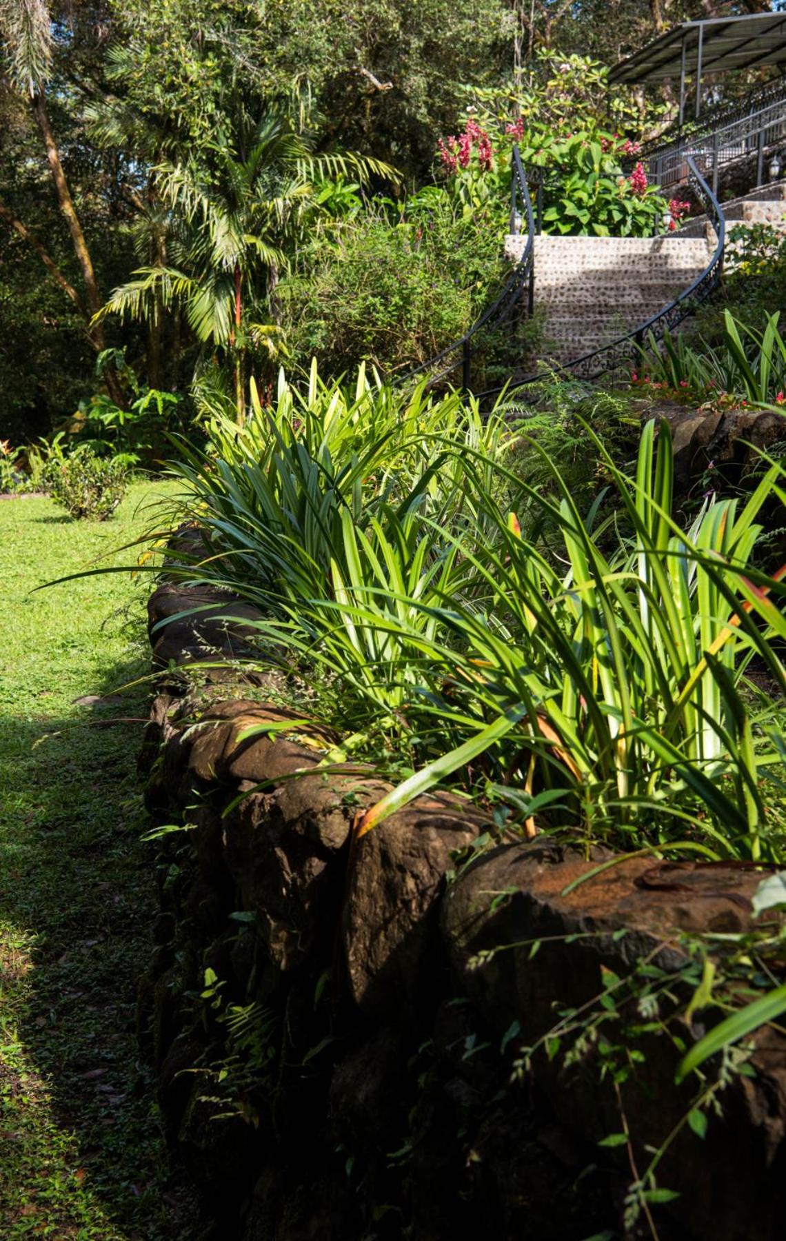 Wanakaset Panama