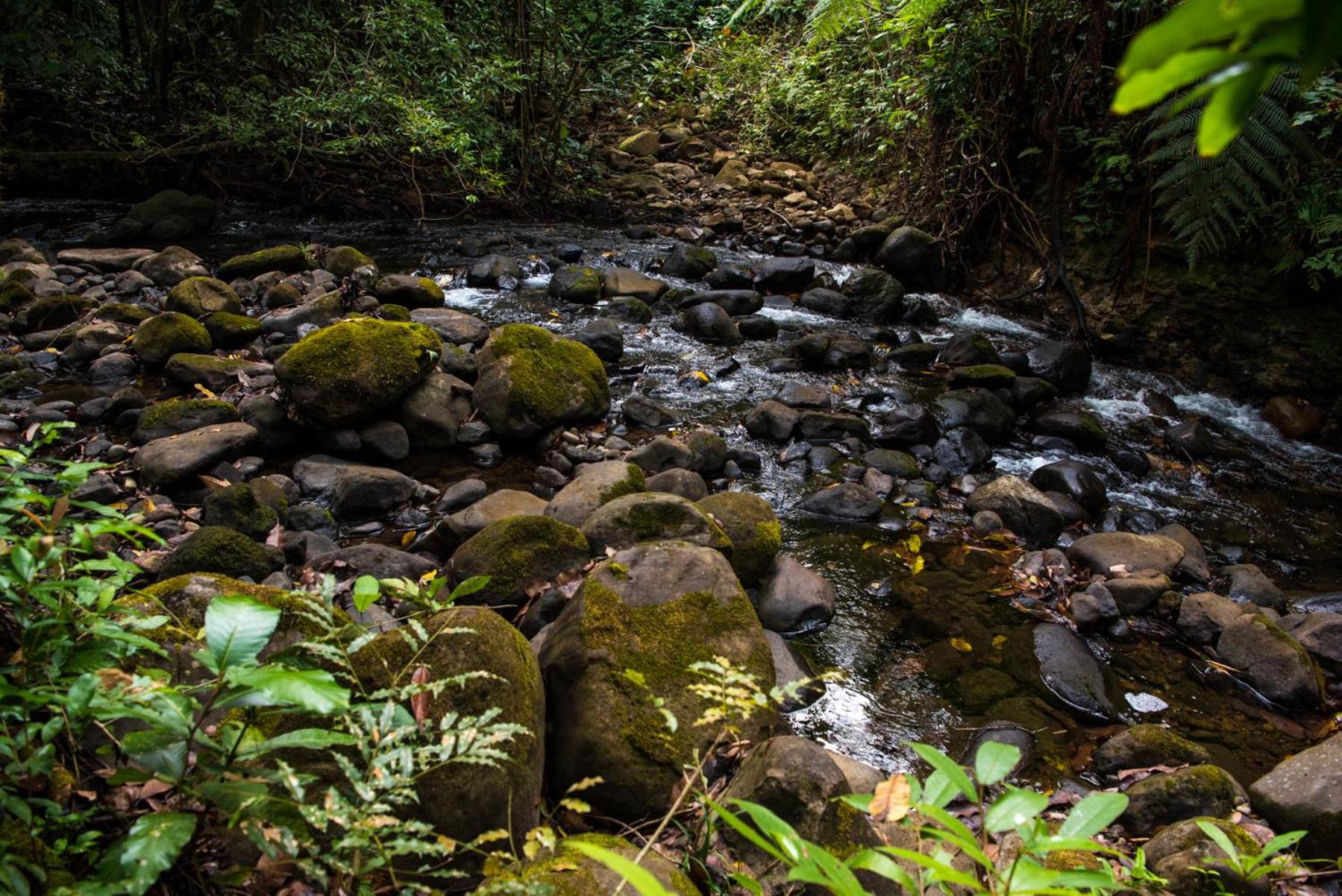 Wanakaset Panama