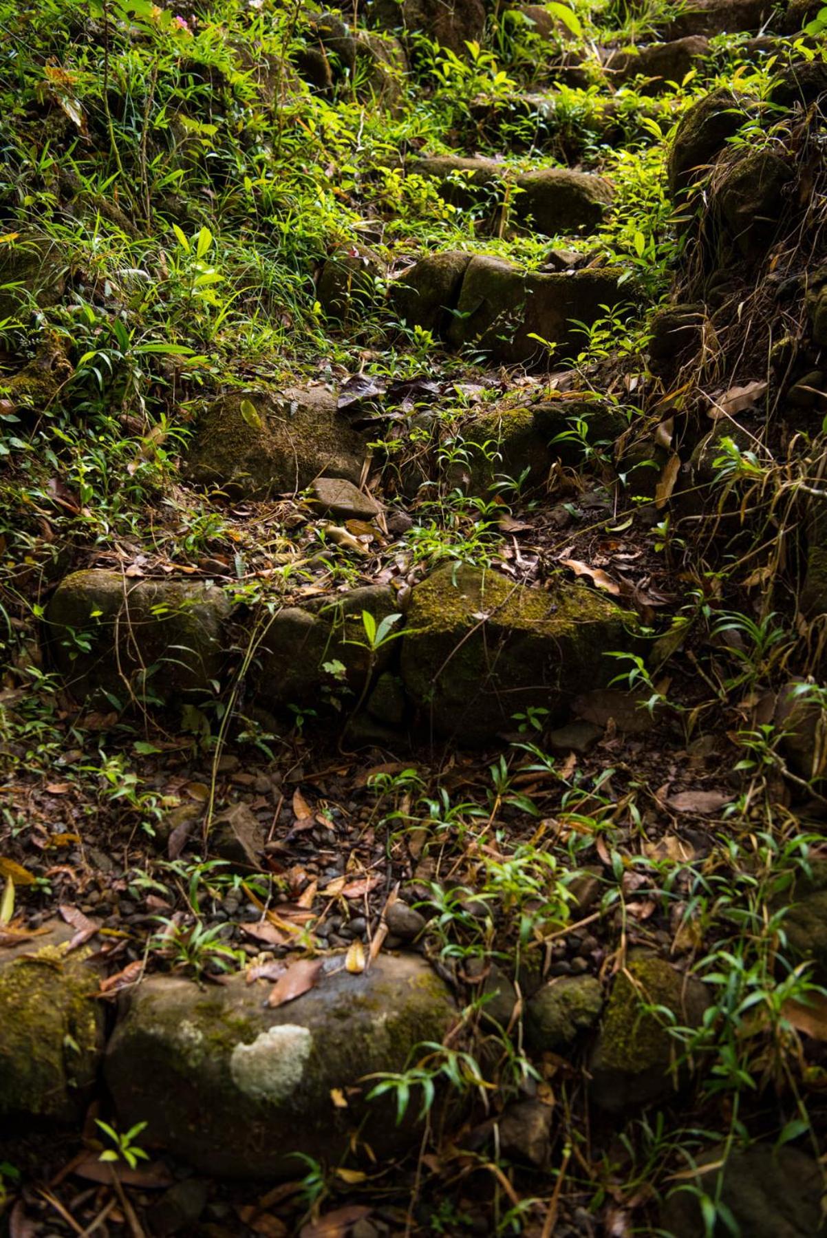 Wanakaset Panama