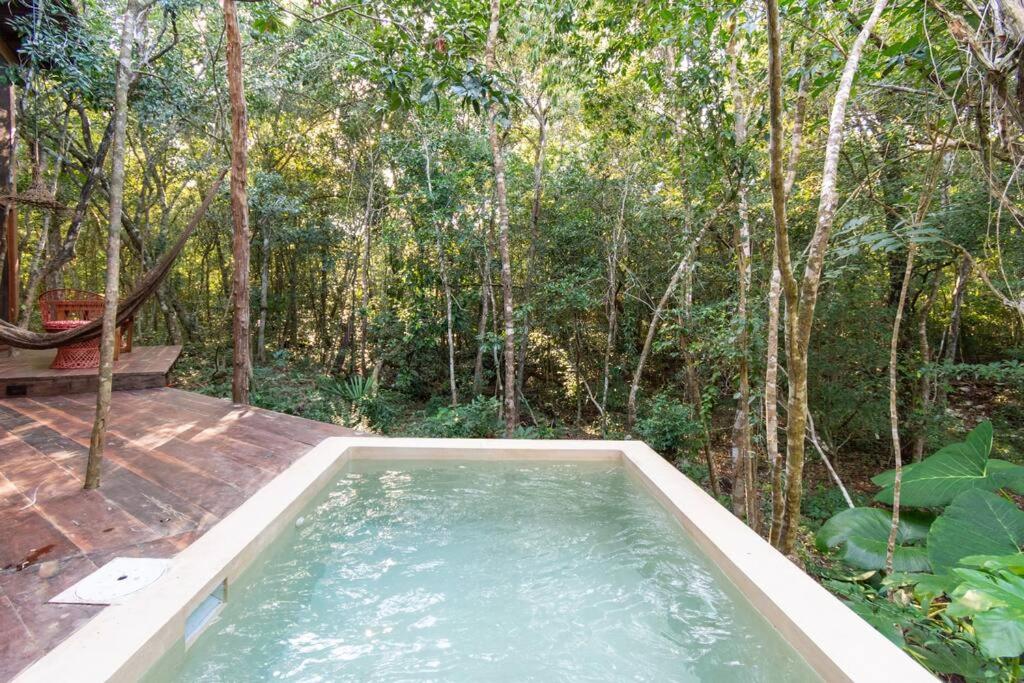 OJO DE AGUA. Design+pool. Vive la auténtica selva! view 3