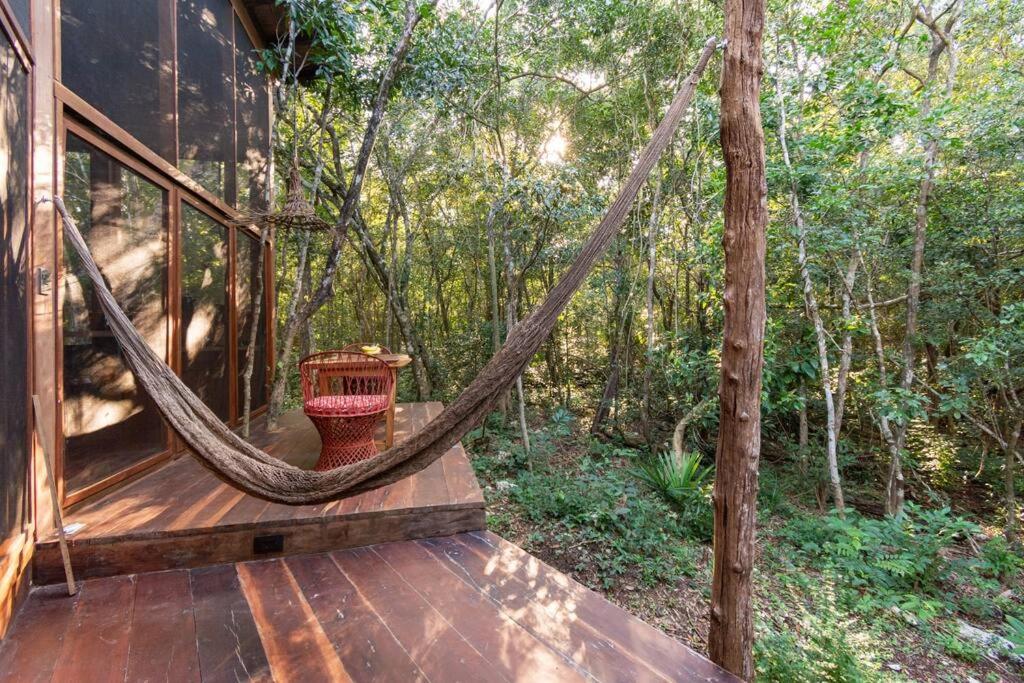 OJO DE AGUA. Design+pool. Vive la auténtica selva! view 2