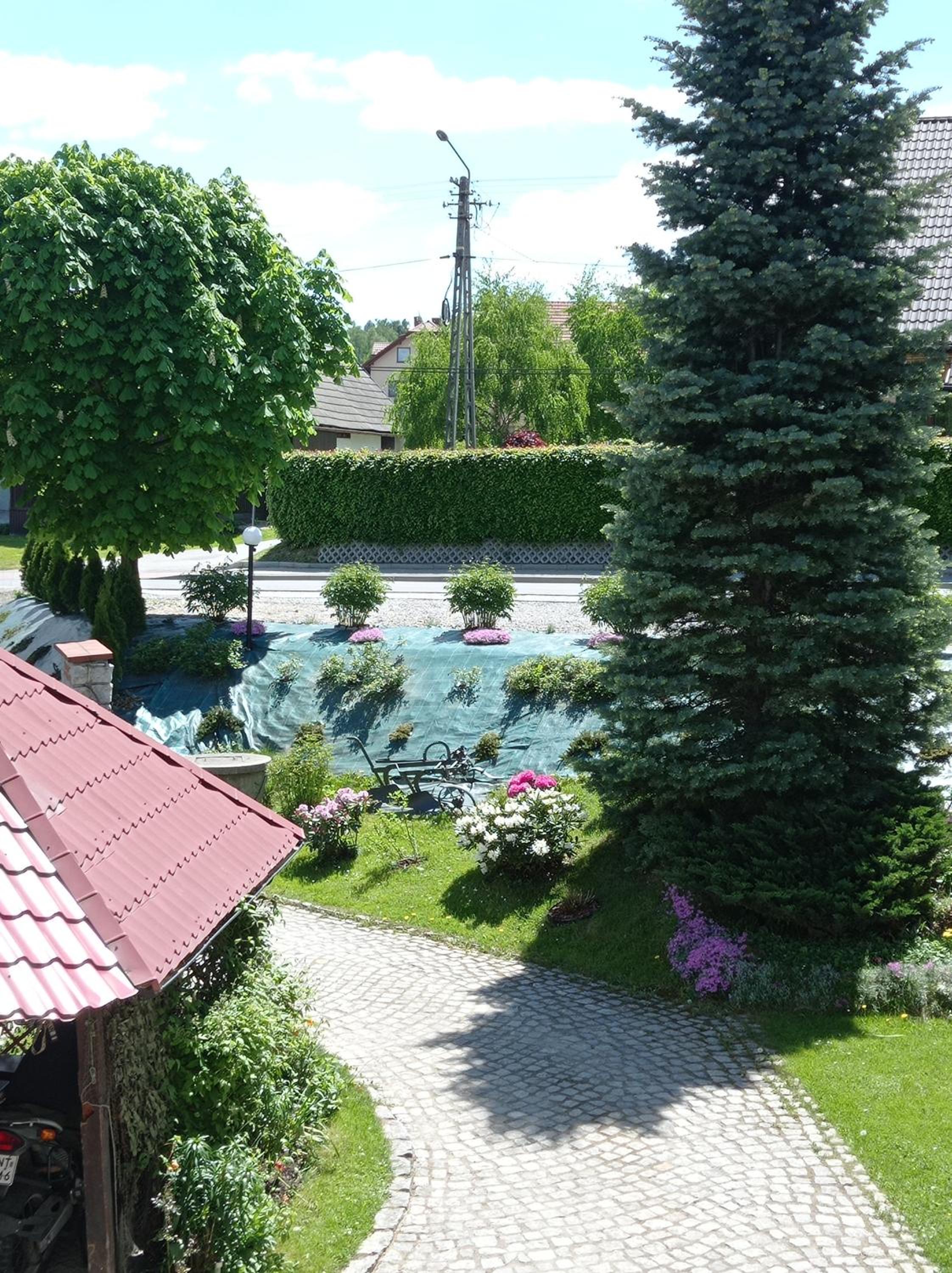 Photo 29