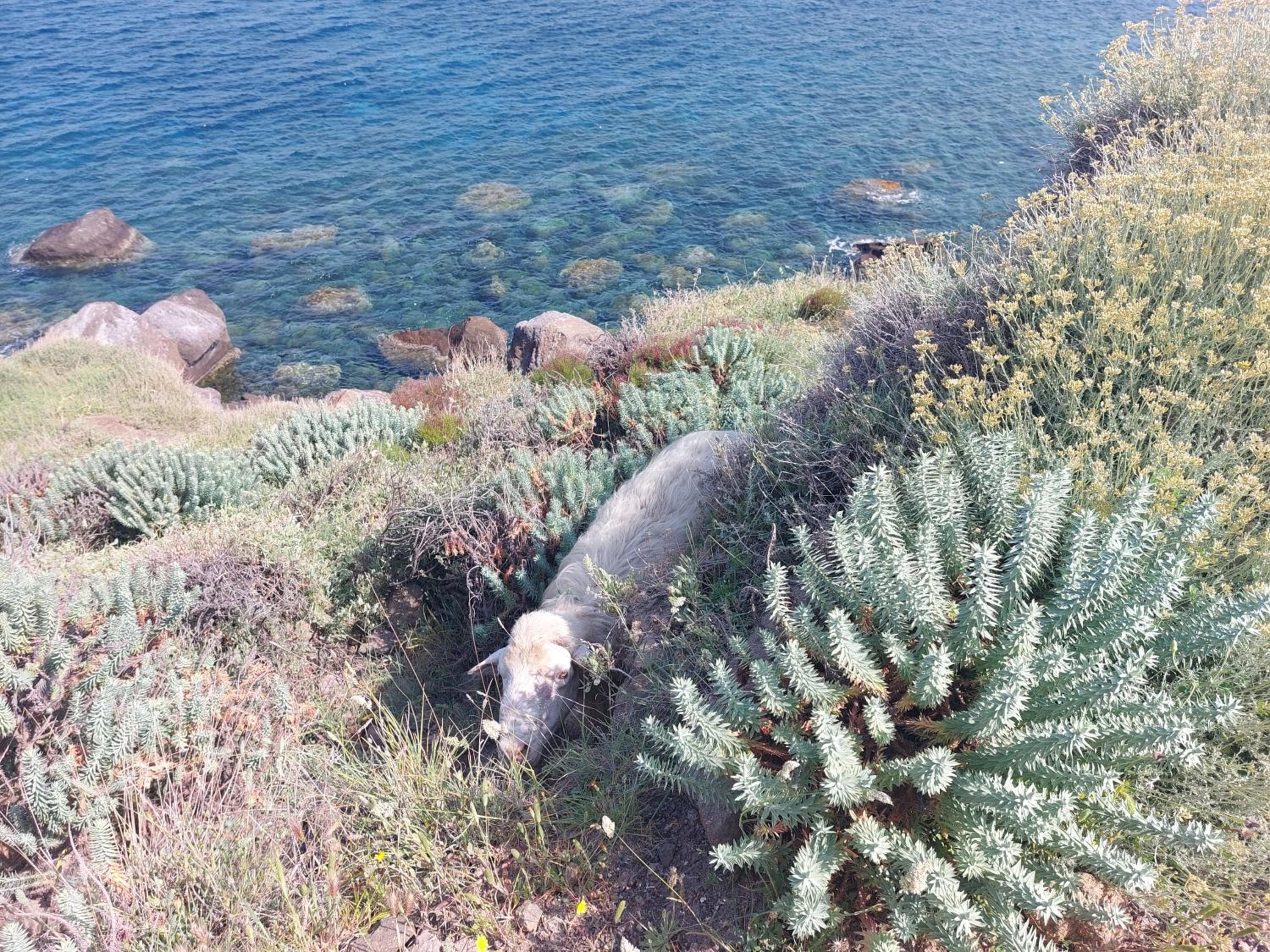 Photo 42