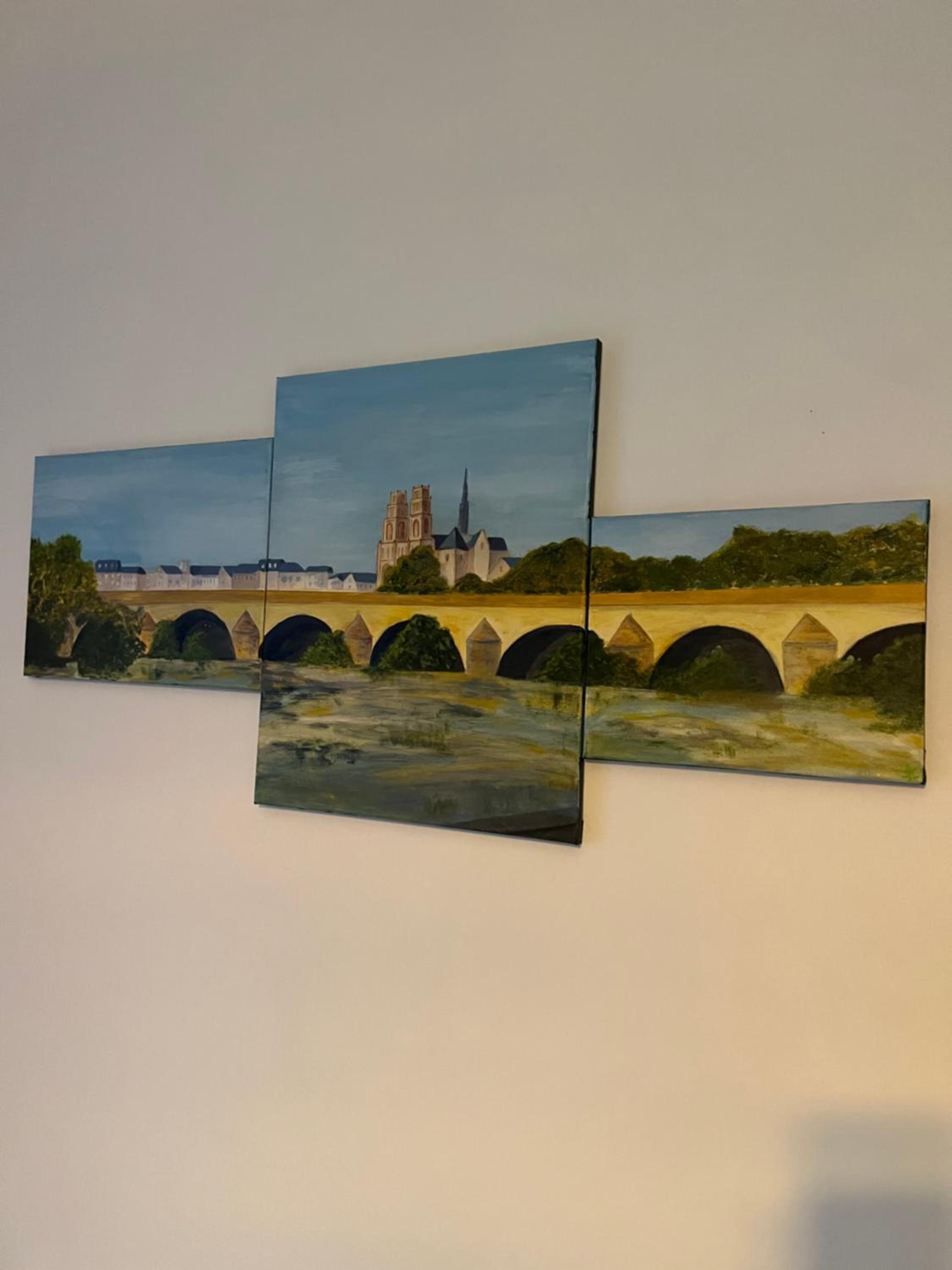 Cosy Loire, T2 neuf, front de Loire ,vue cathédrale,5min à pied centre ville et parking privé