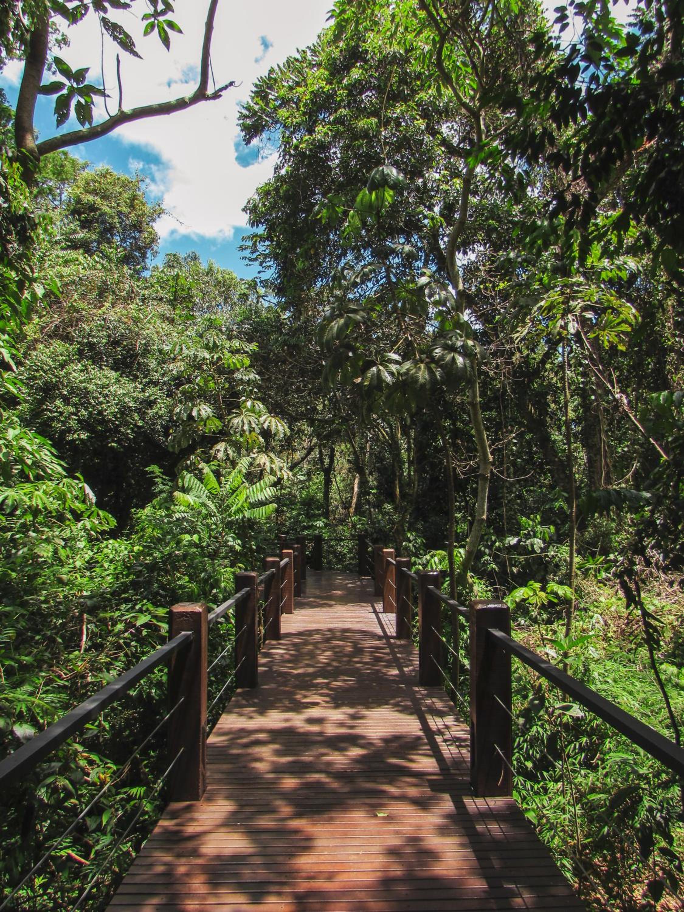 Selvaje Lodge Iguazu