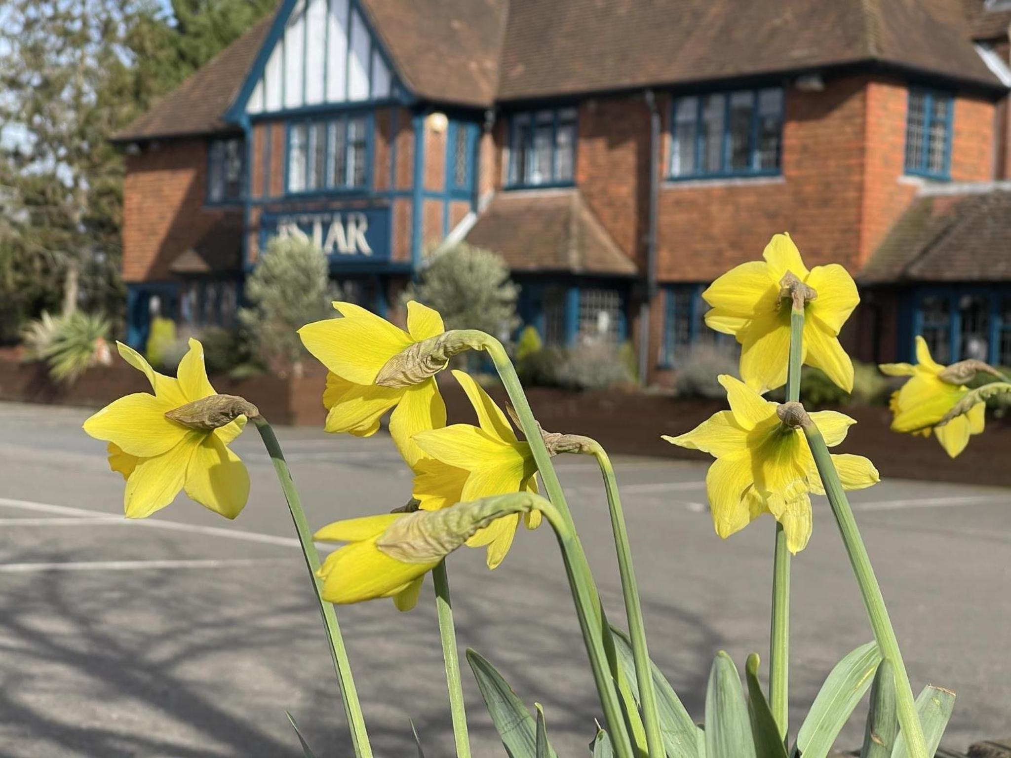 The Star Inn