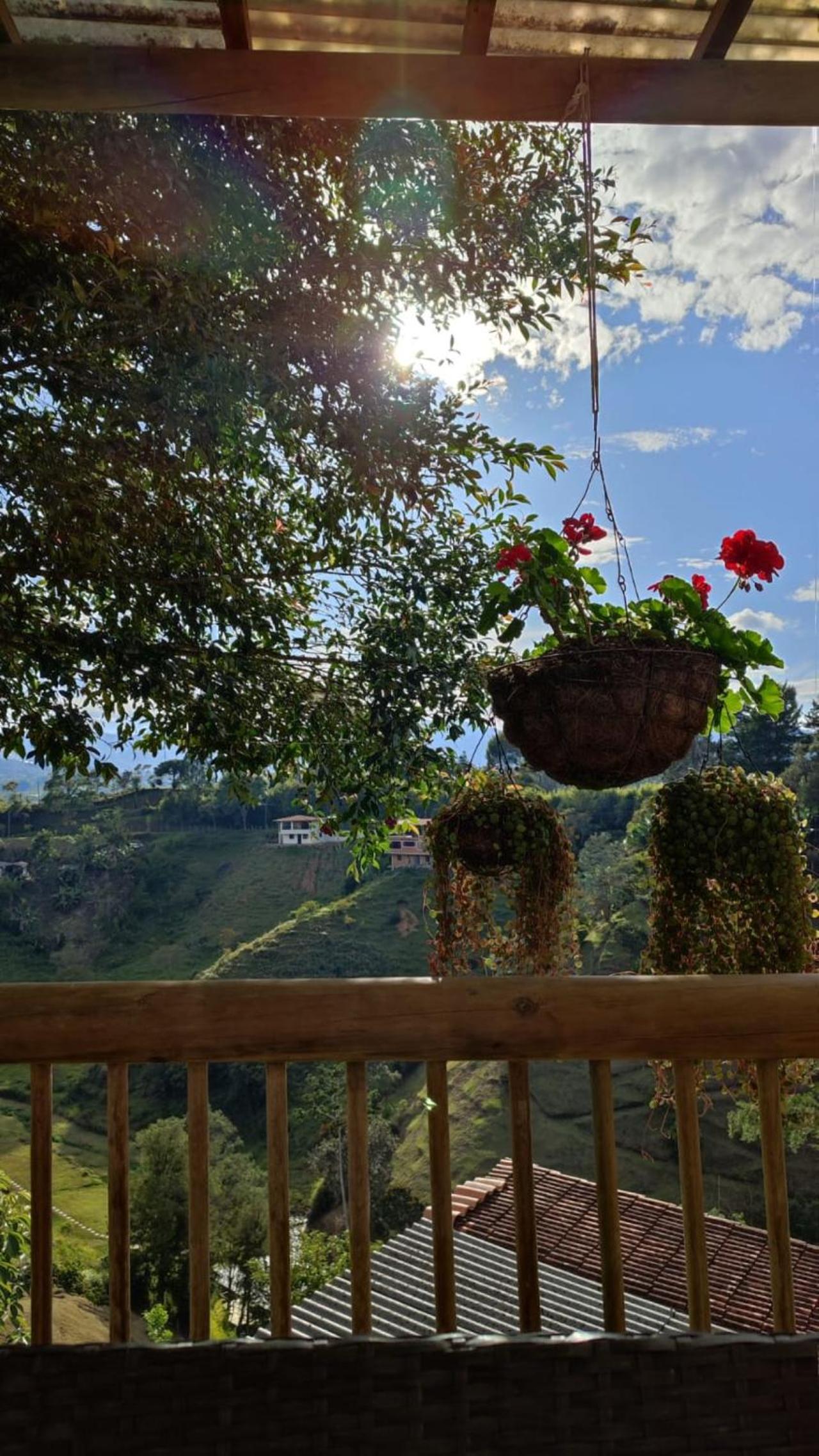 Unique Glamping / Domo Betsaida