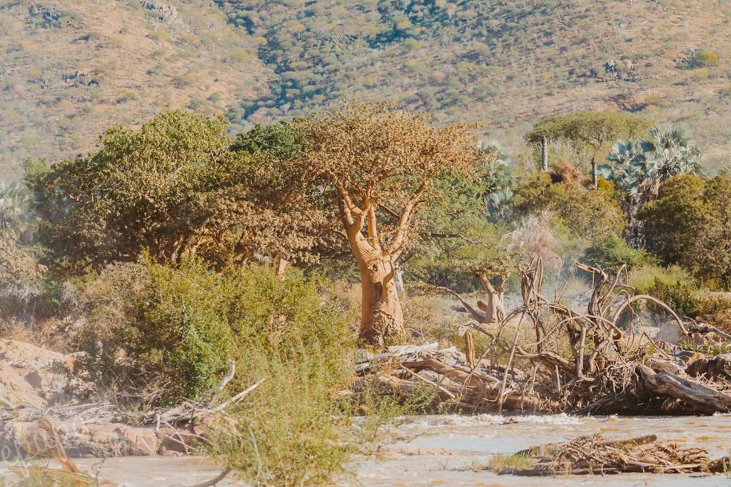 Epupa Falls Lodge