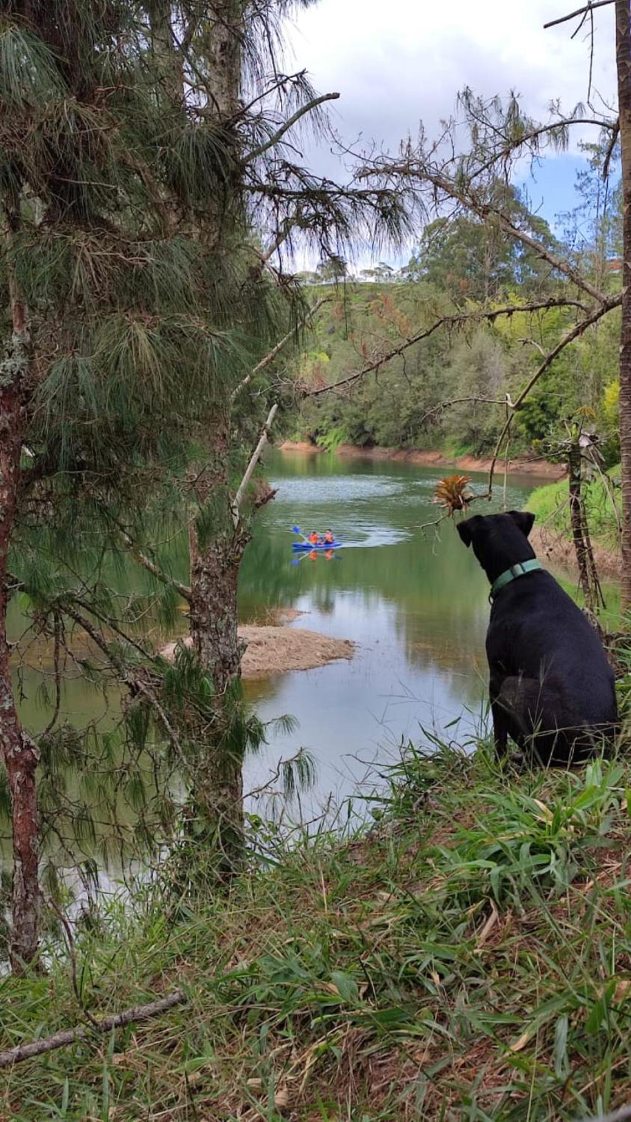 Unique Glamping / Domo Betsaida