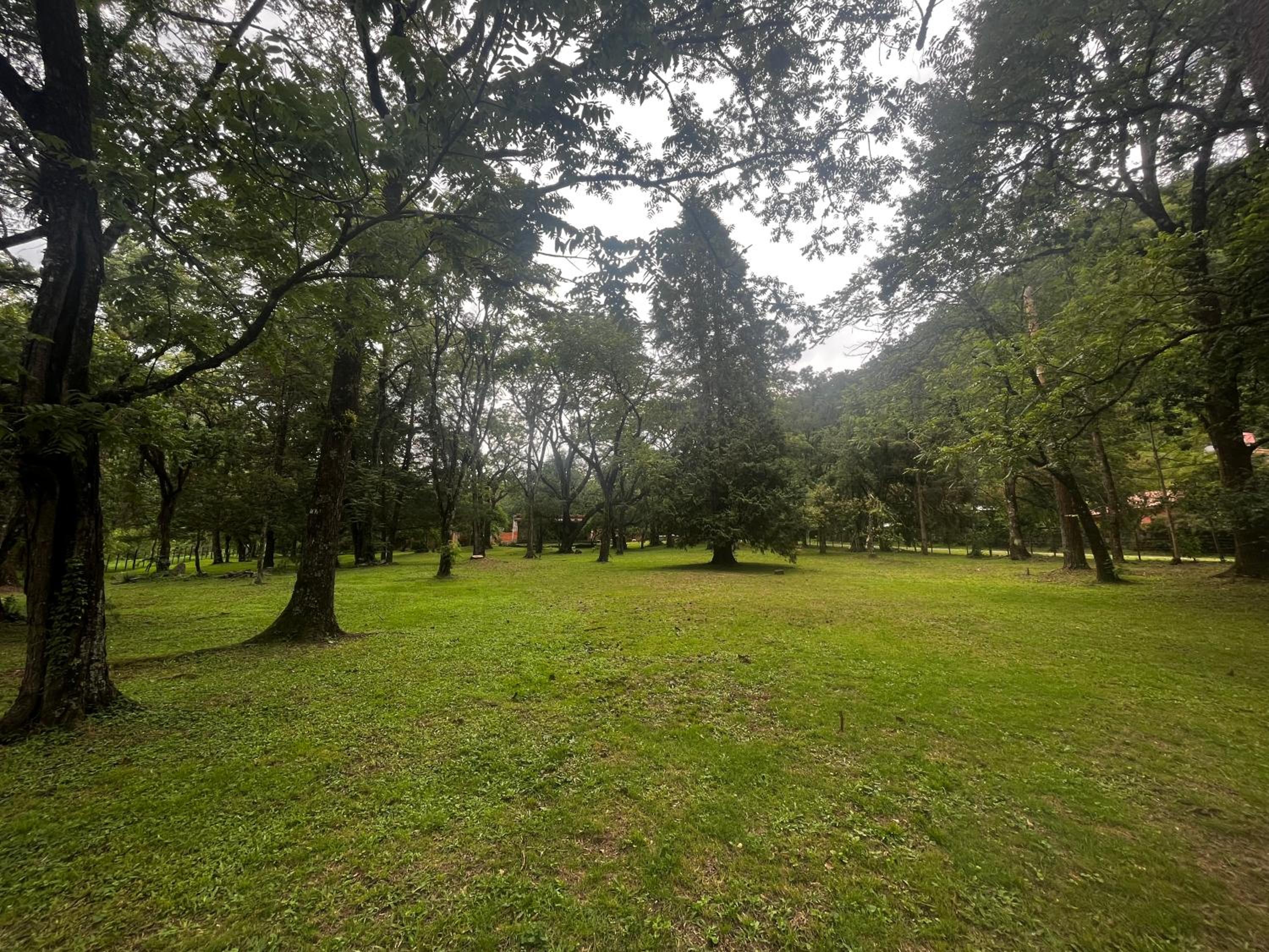 Cabaña tierra verde