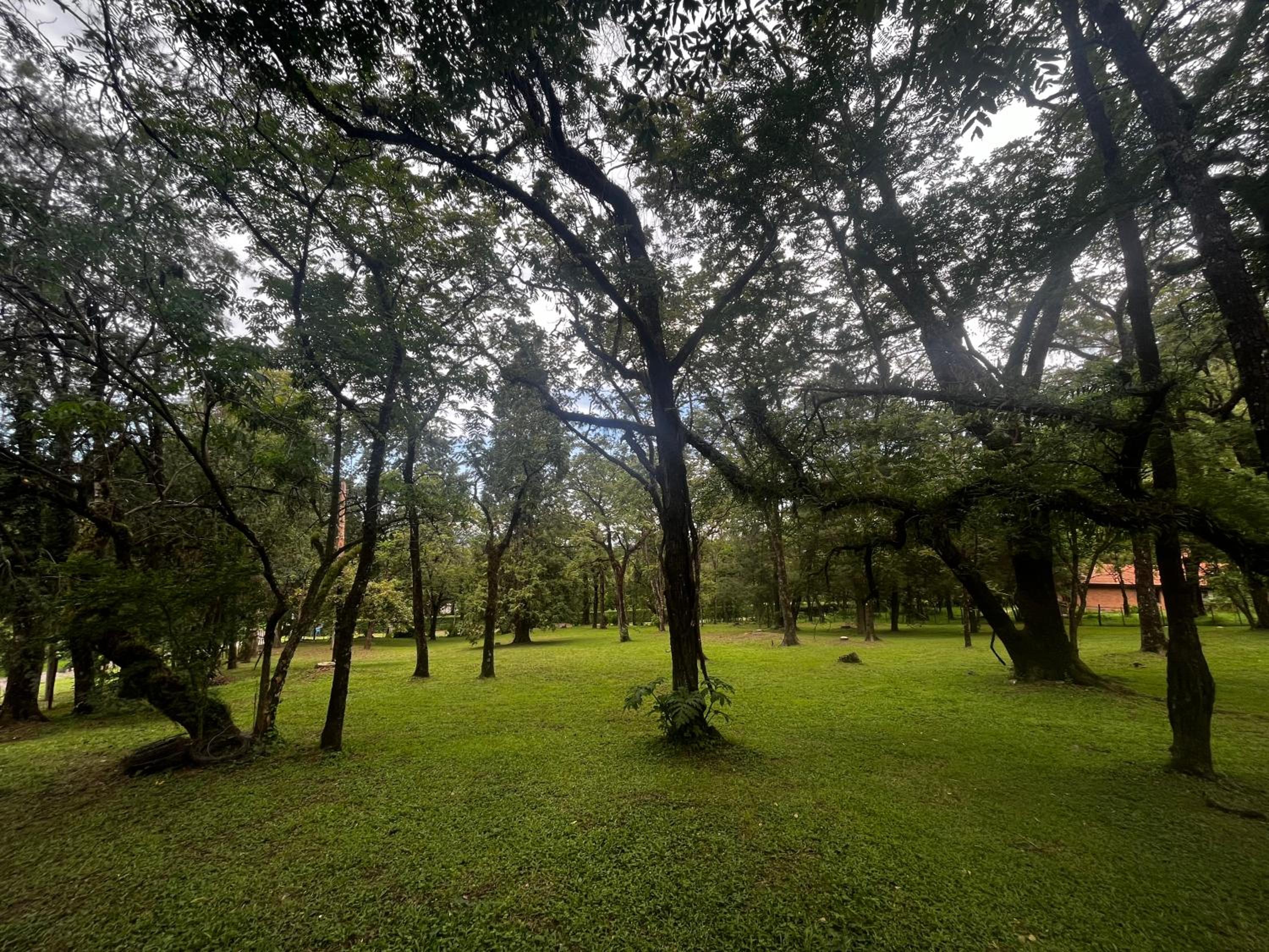 Cabaña tierra verde