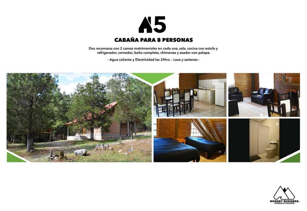 Photo 9