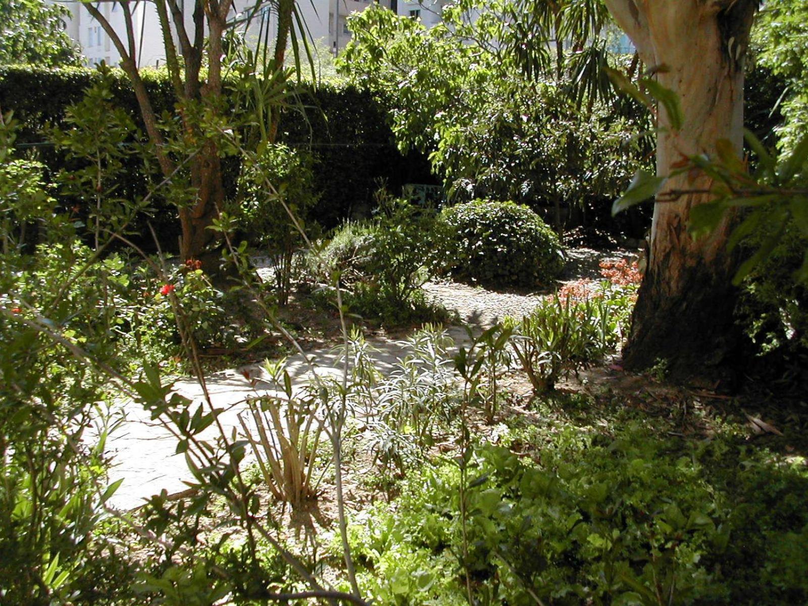 garden