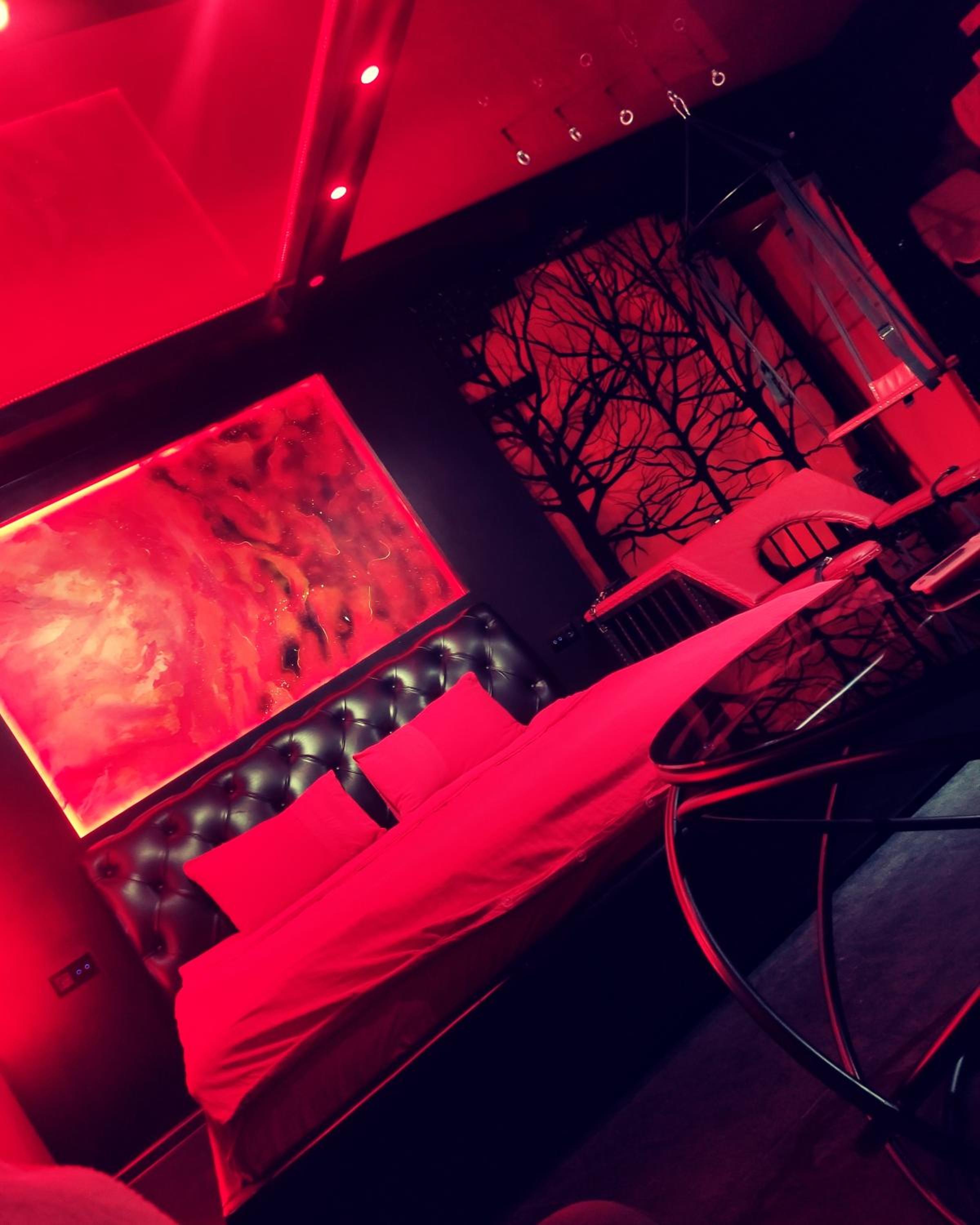 "DREAM ROOM" Тематические апартаменты Харьков! Цоколь!