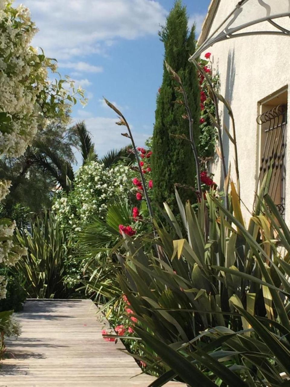 La Villa Vaihéré en Camargue, l'Hibiscus et le Magnolia
