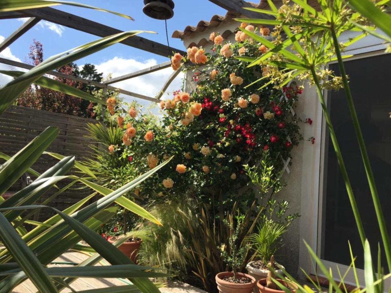 La Villa Vaihéré en Camargue, l'Hibiscus et le Magnolia