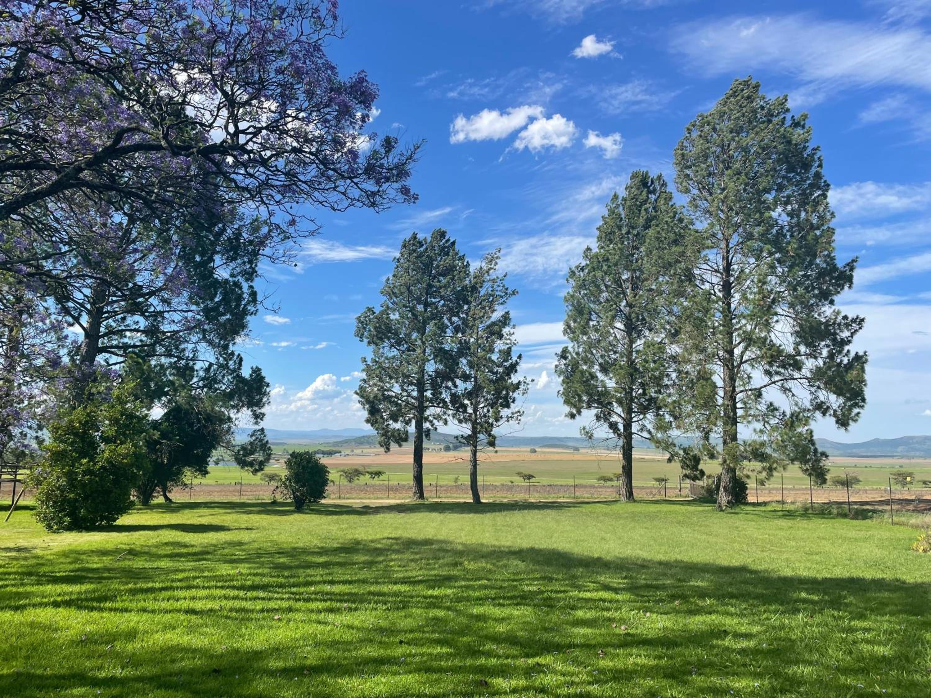 Bellevue Berg Cottage view 5