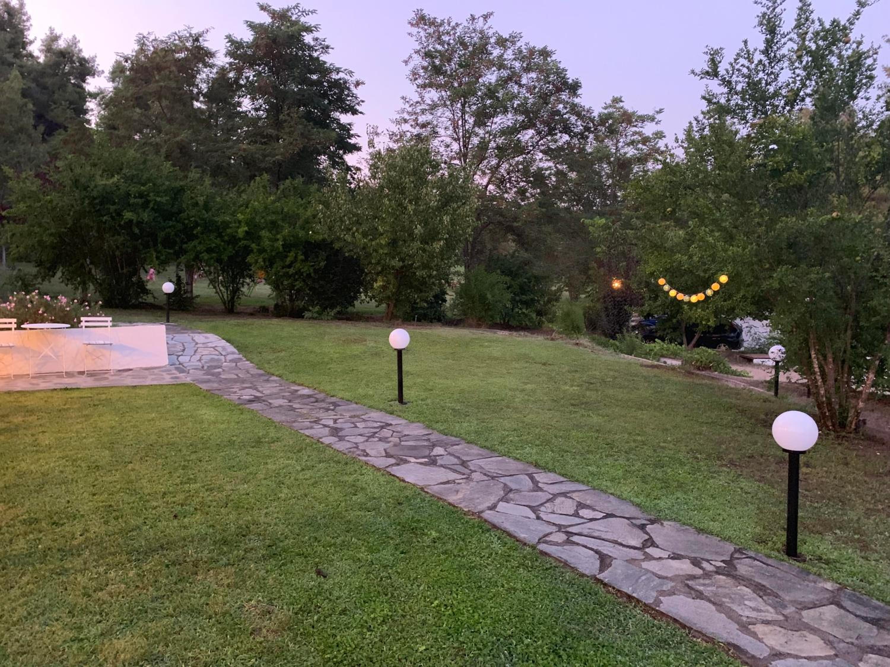 Photo 31
