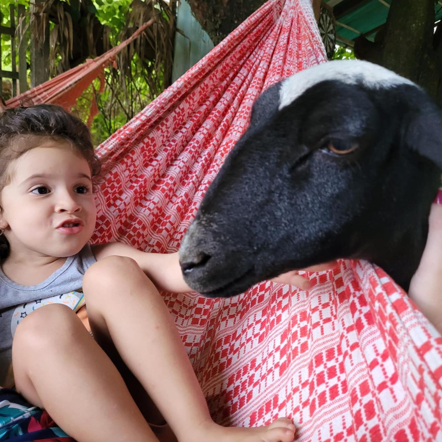 Sítio das Jaqueiras