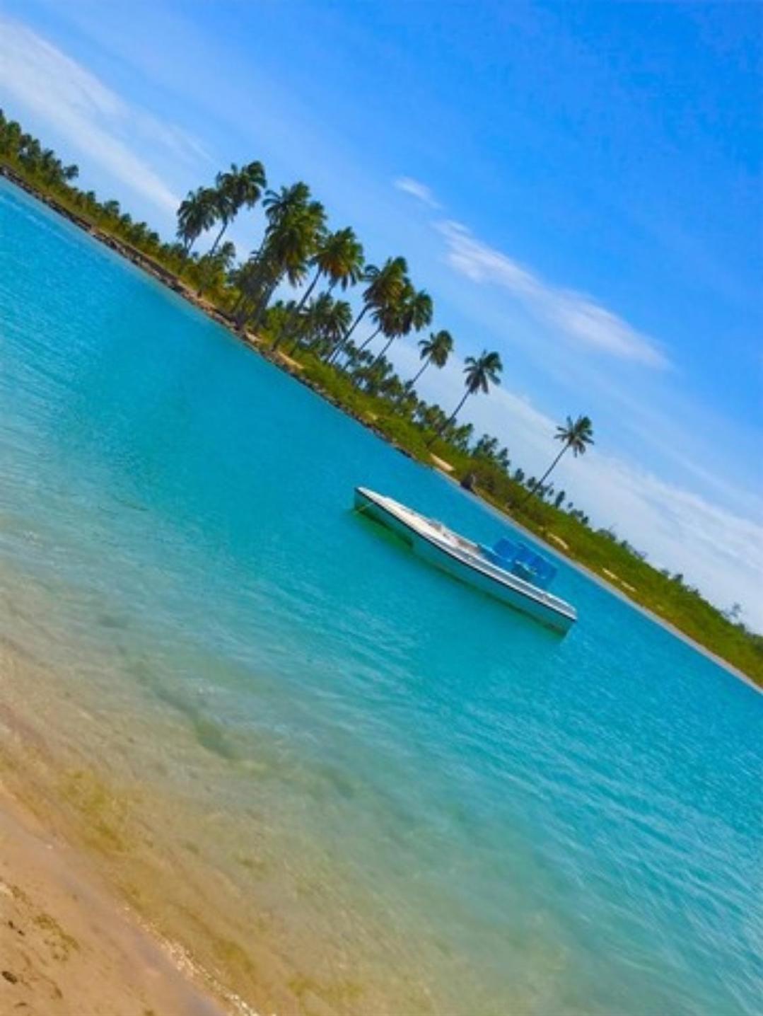Apt com vista pro mar em Maracaipe