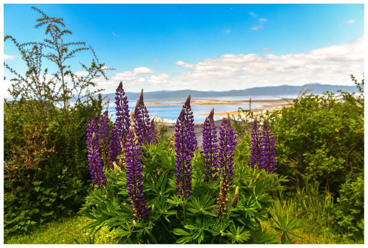 AKARSUR USHUAIA