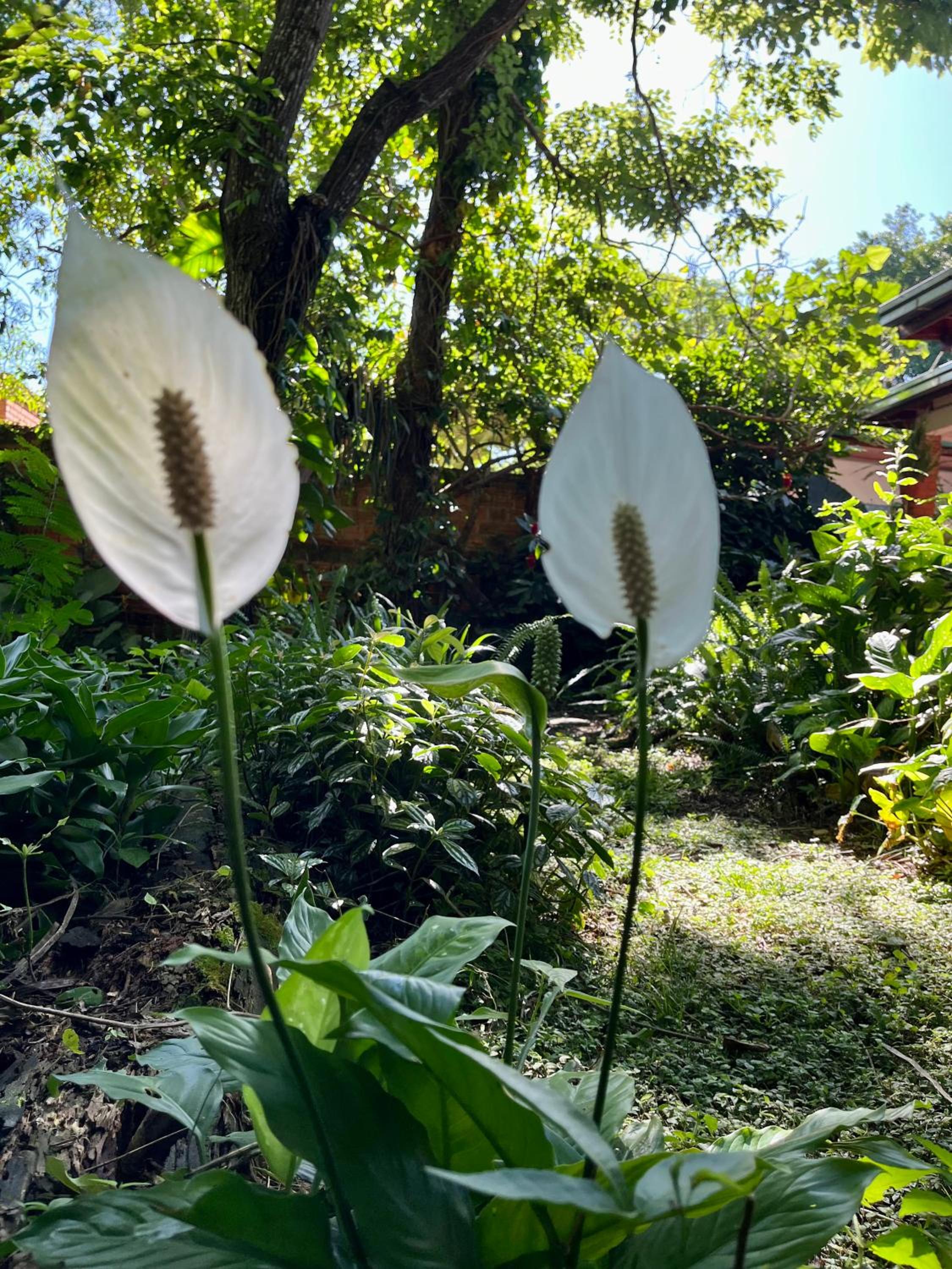 other
