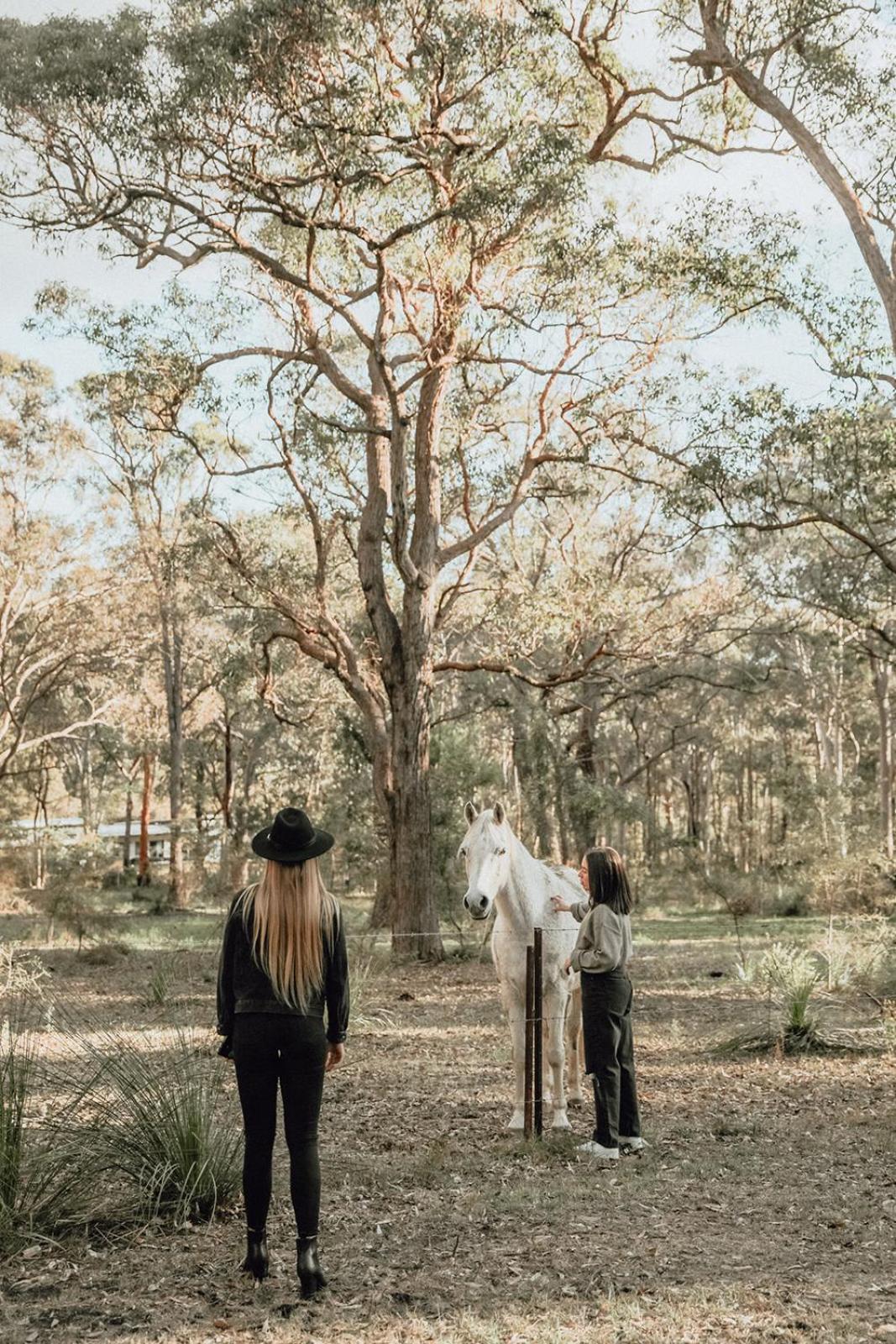 Hunter Valley Retreat